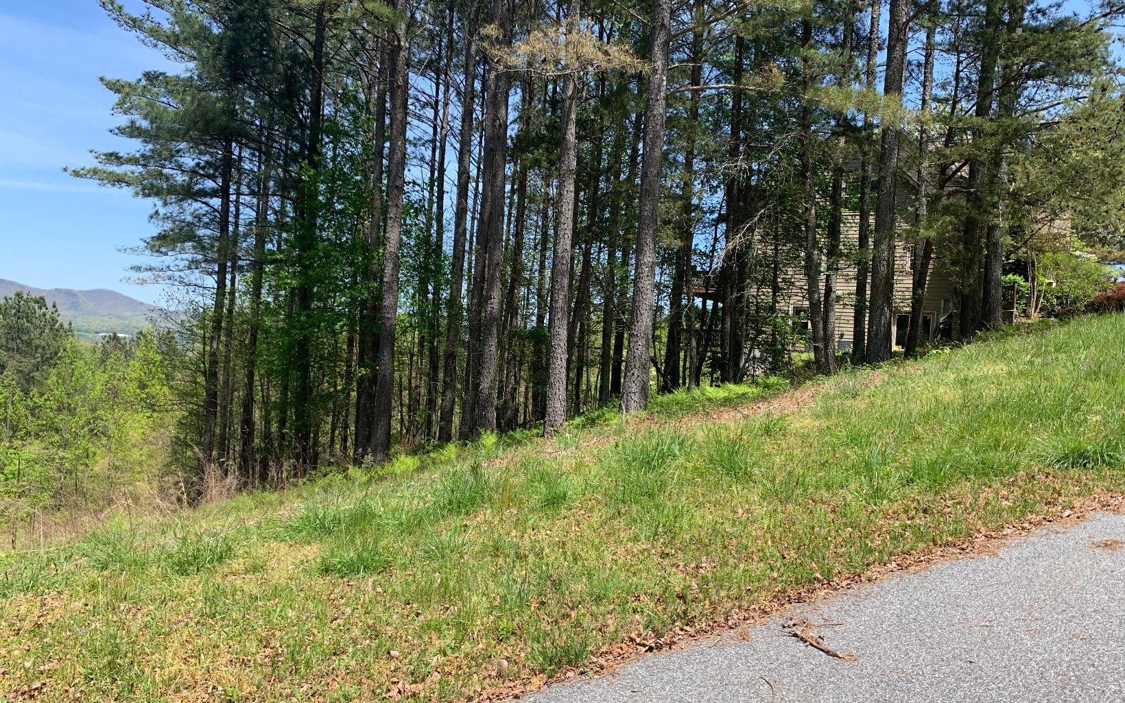 Lot 28 Loftis Mountain Property Photo 6