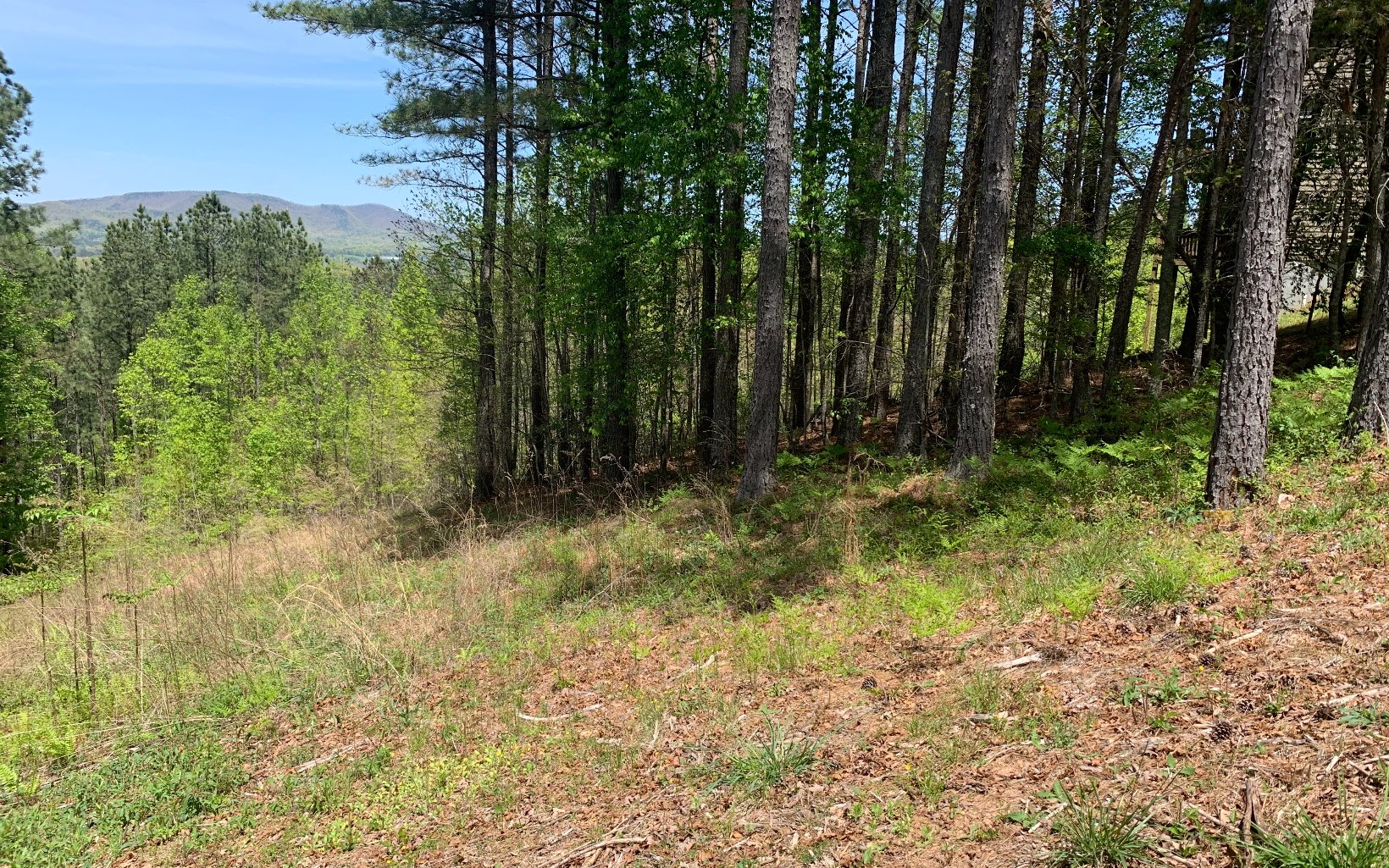 Lot 28 Loftis Mountain Property Photo 8