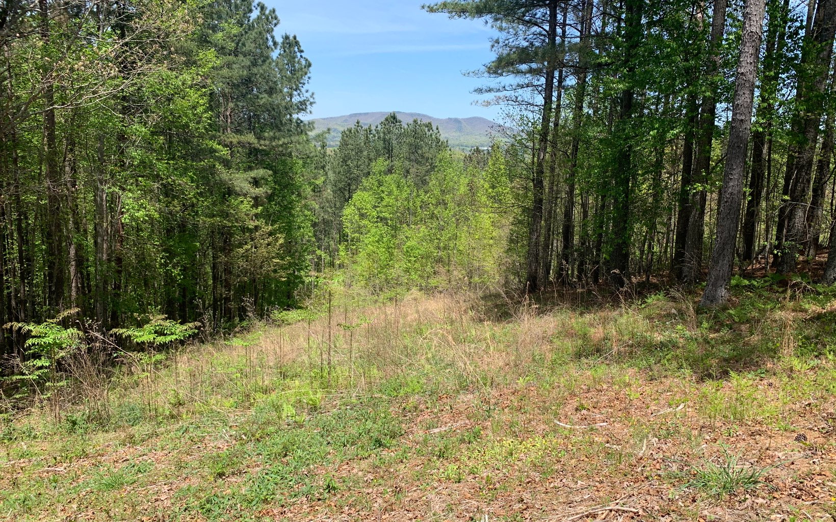 Lot 28 Loftis Mountain Property Photo 10
