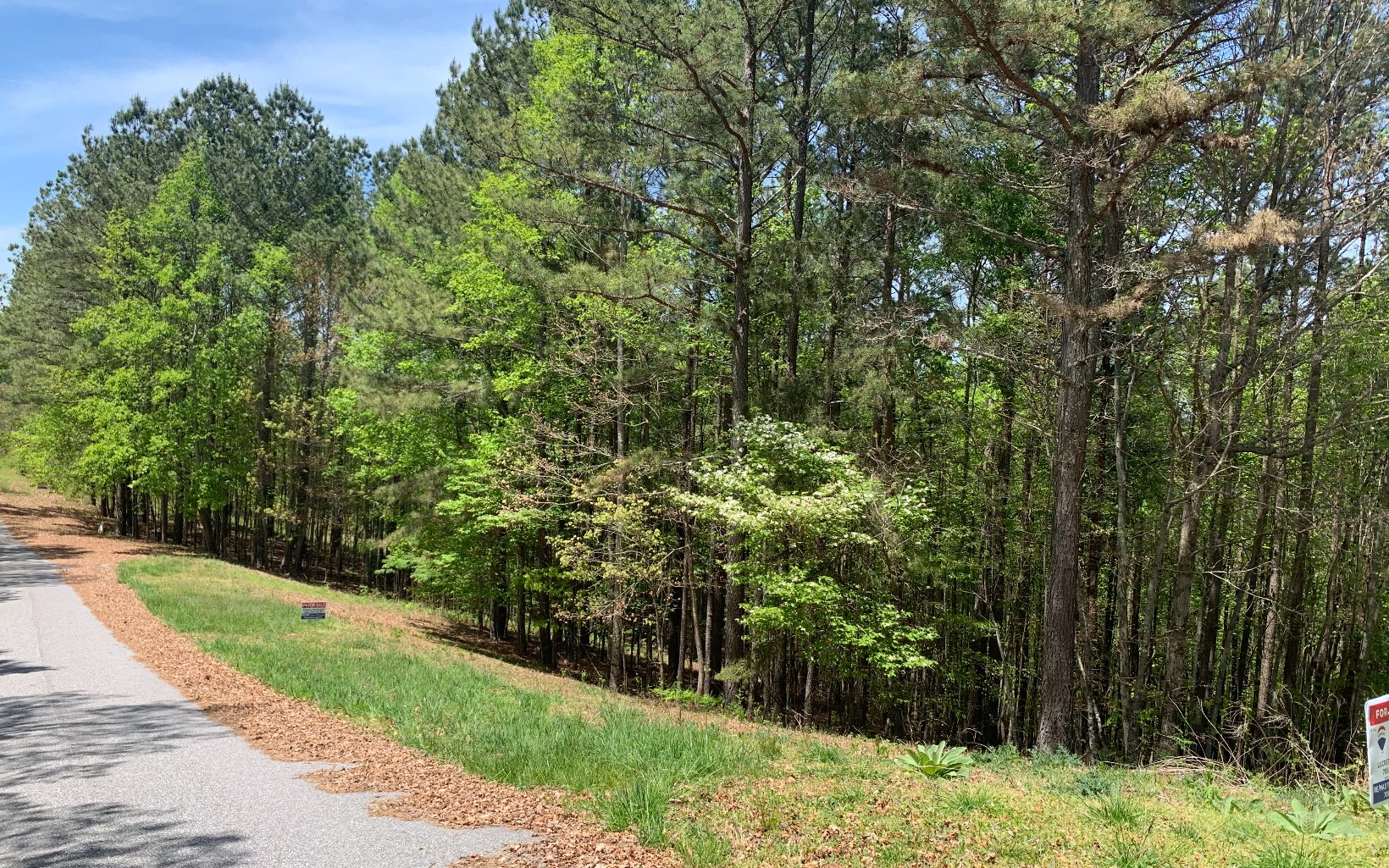 Lot 28 Loftis Mountain Property Photo 13