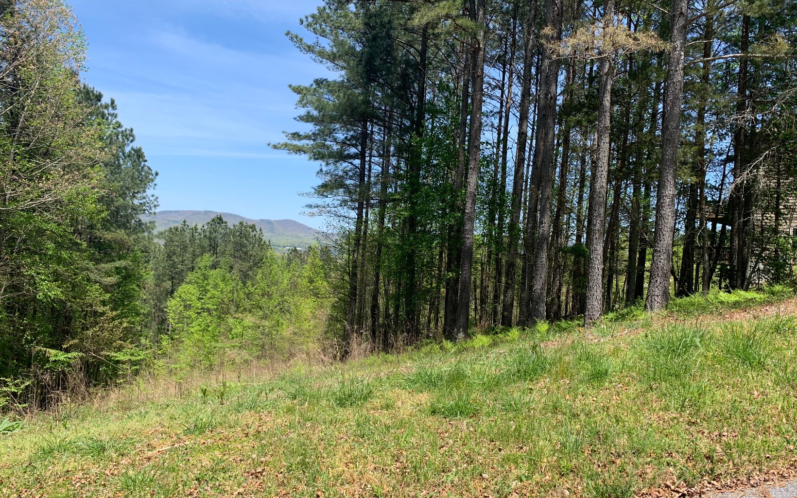 Lot 28 Loftis Mountain Property Photo 15