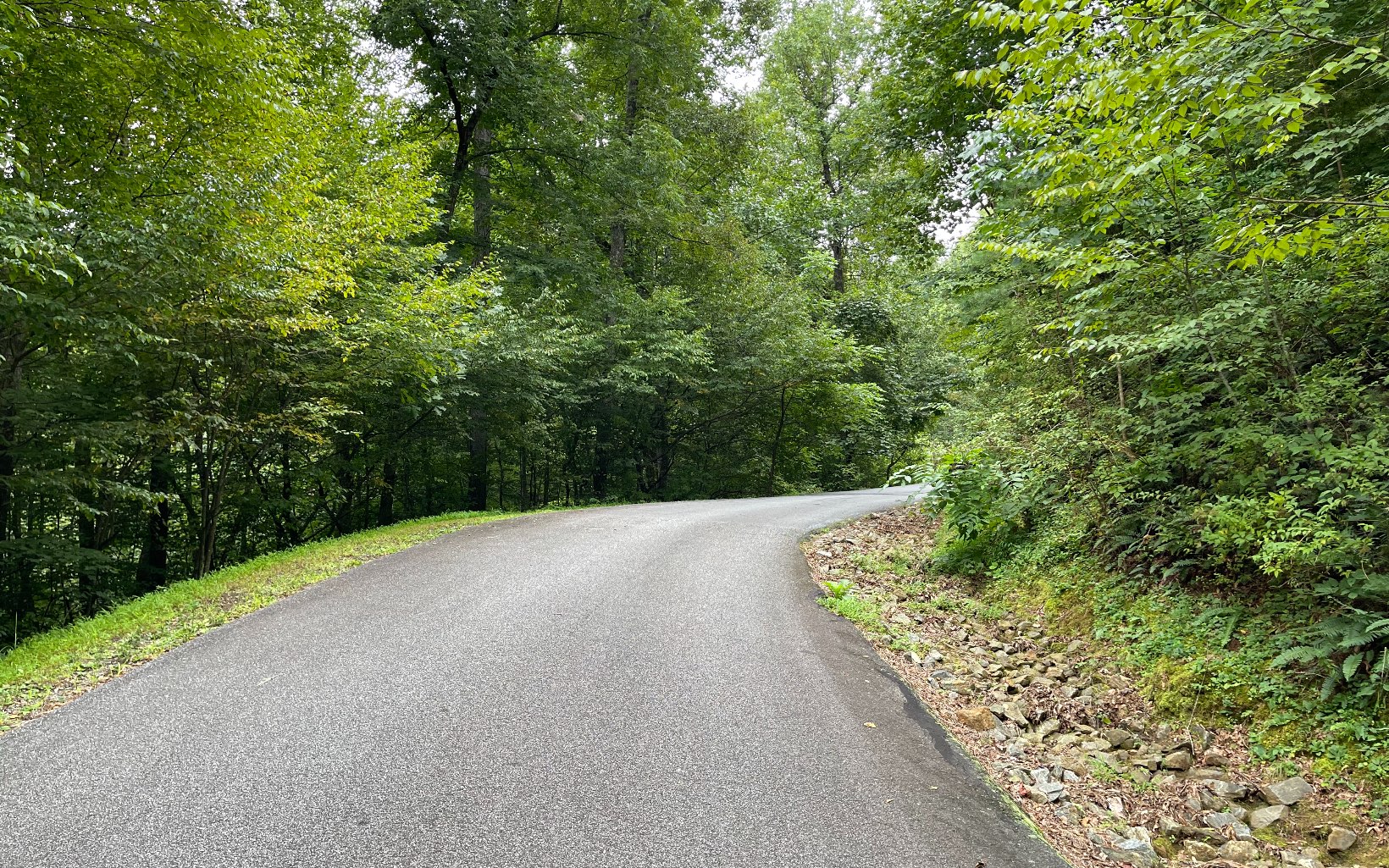 Lot 7 Bear Trail Property Photo 3