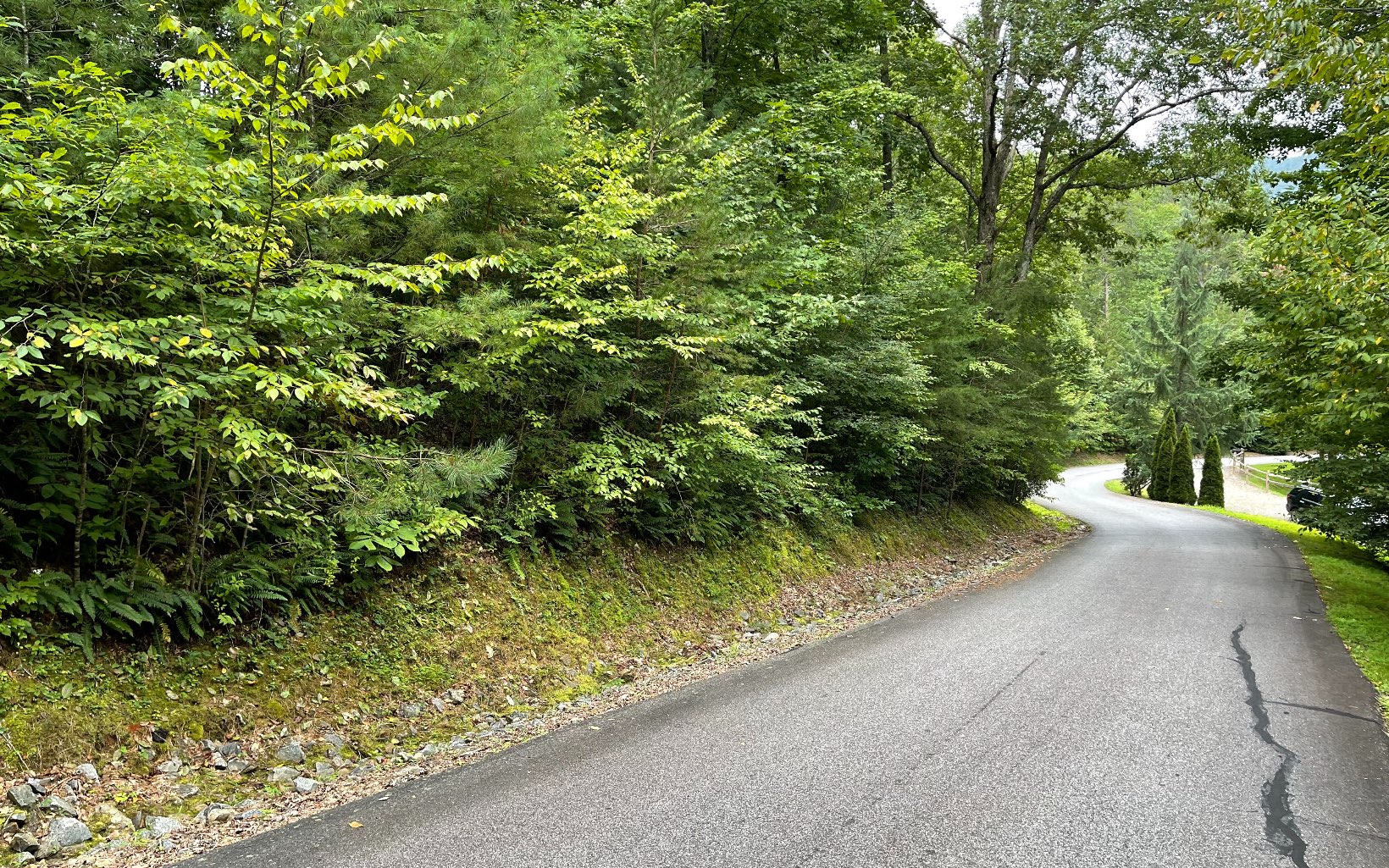 Lot 7 Bear Trail Property Photo 6
