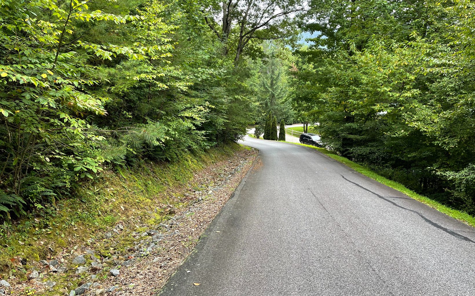 Lot 7 Bear Trail Property Photo 7