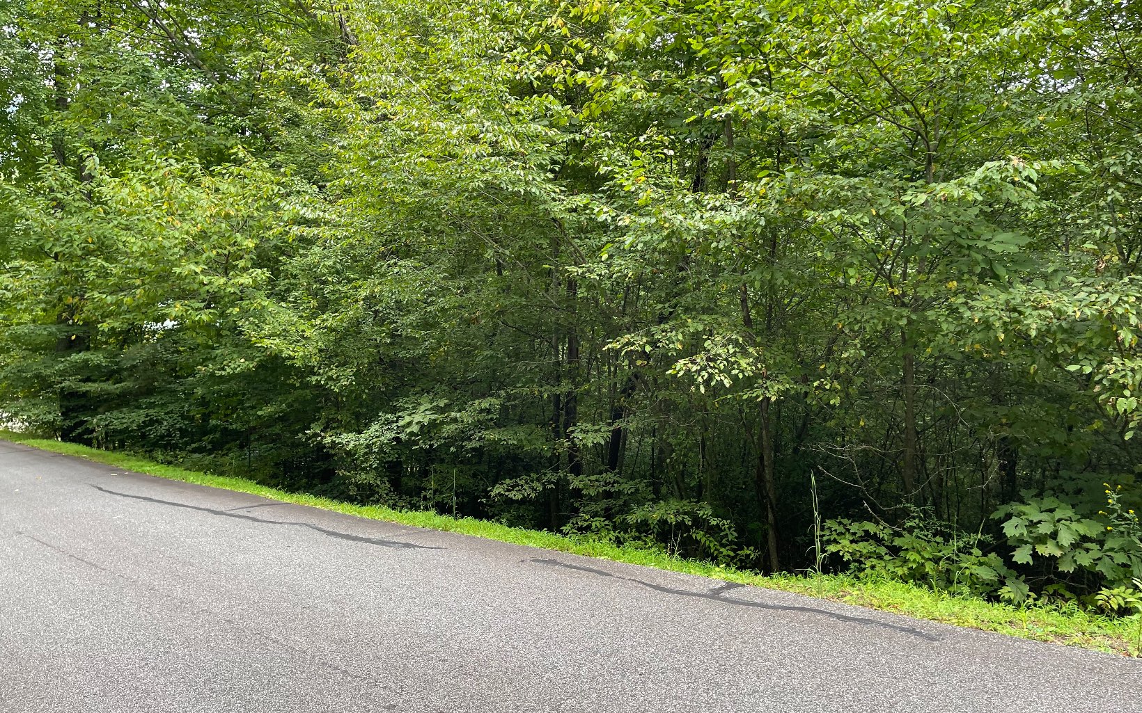 Lot 7 Bear Trail Property Photo 8