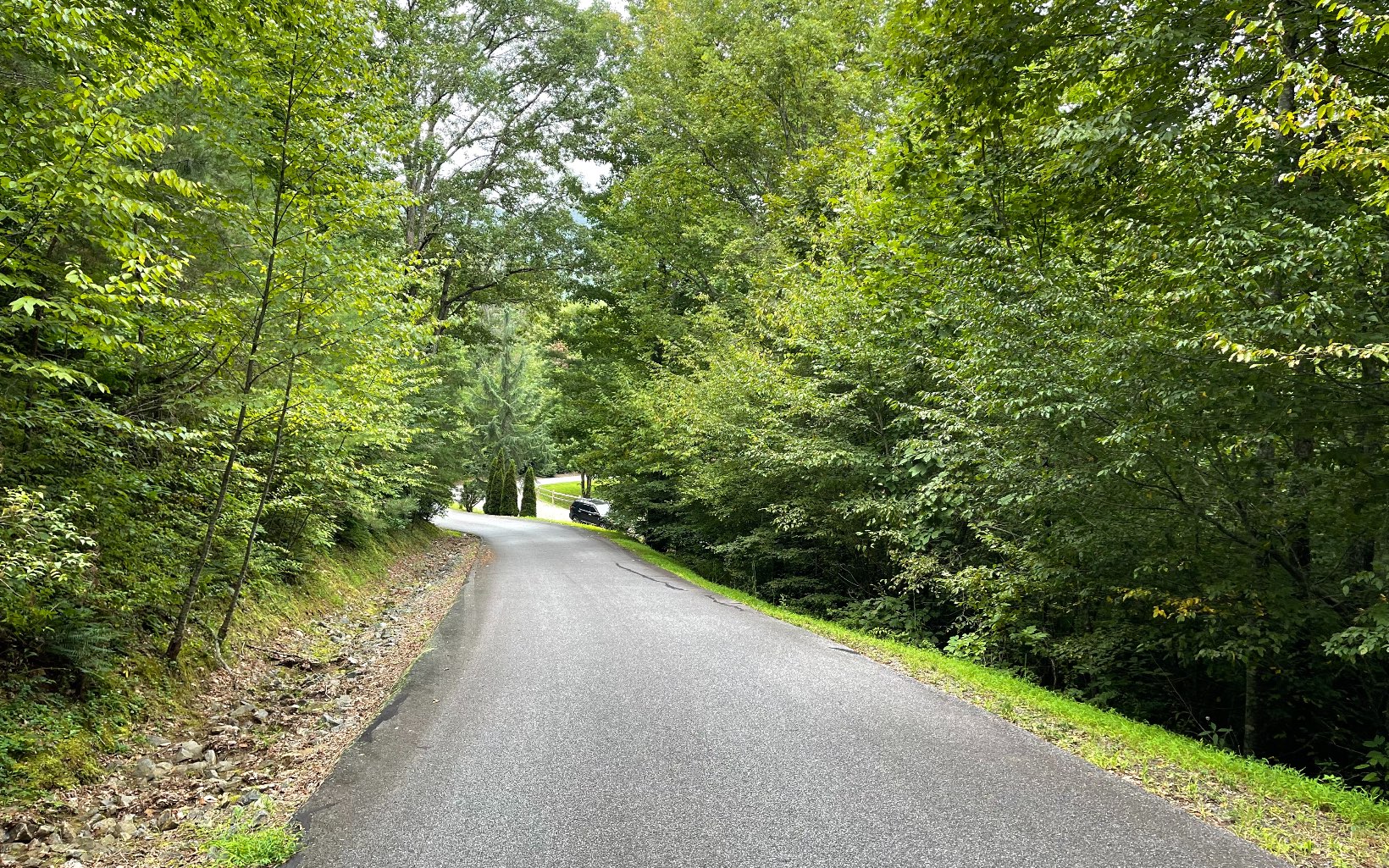 Lot 7 Bear Trail Property Photo 11