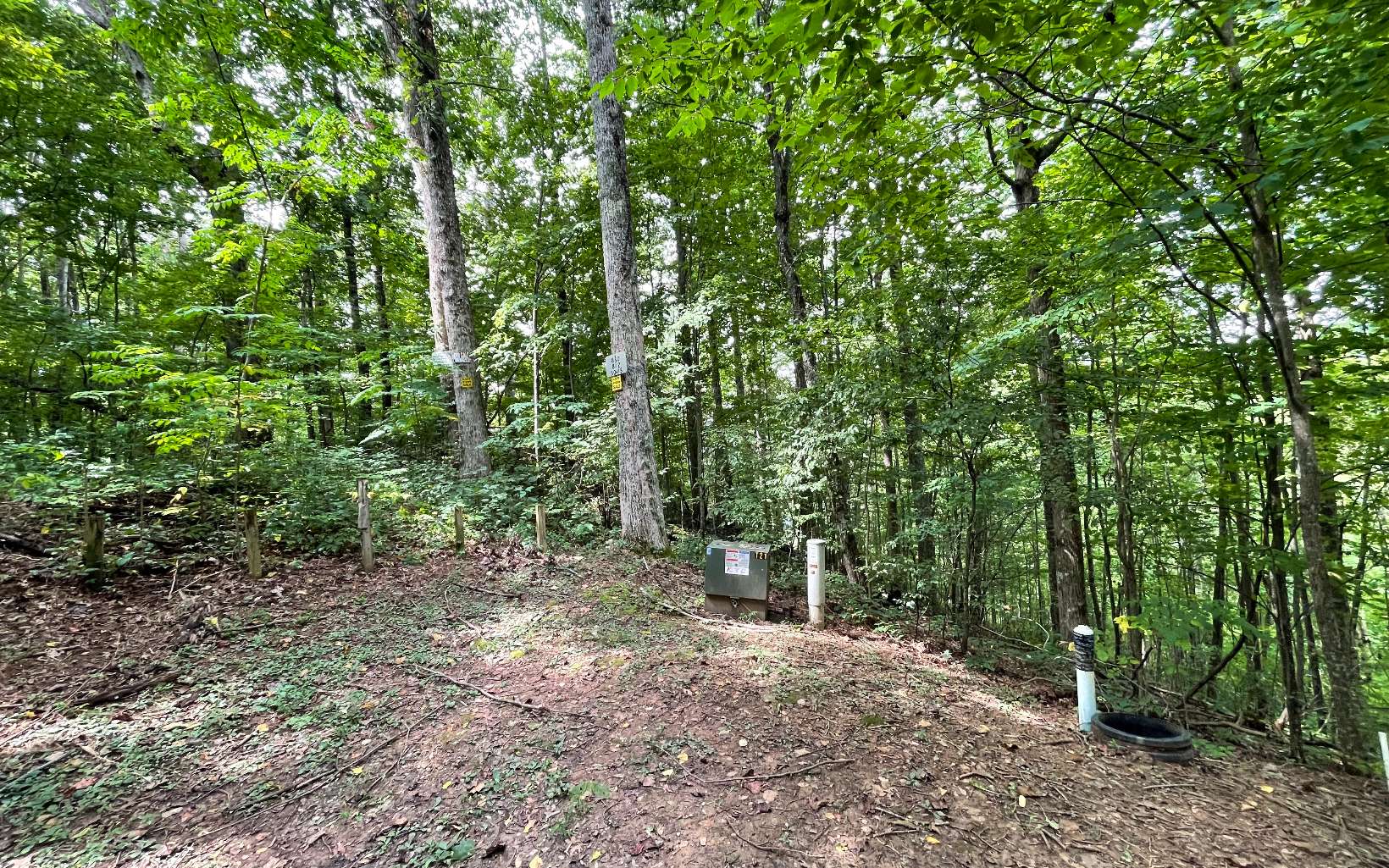 Lot 19 Bear Trail Property Photo 4