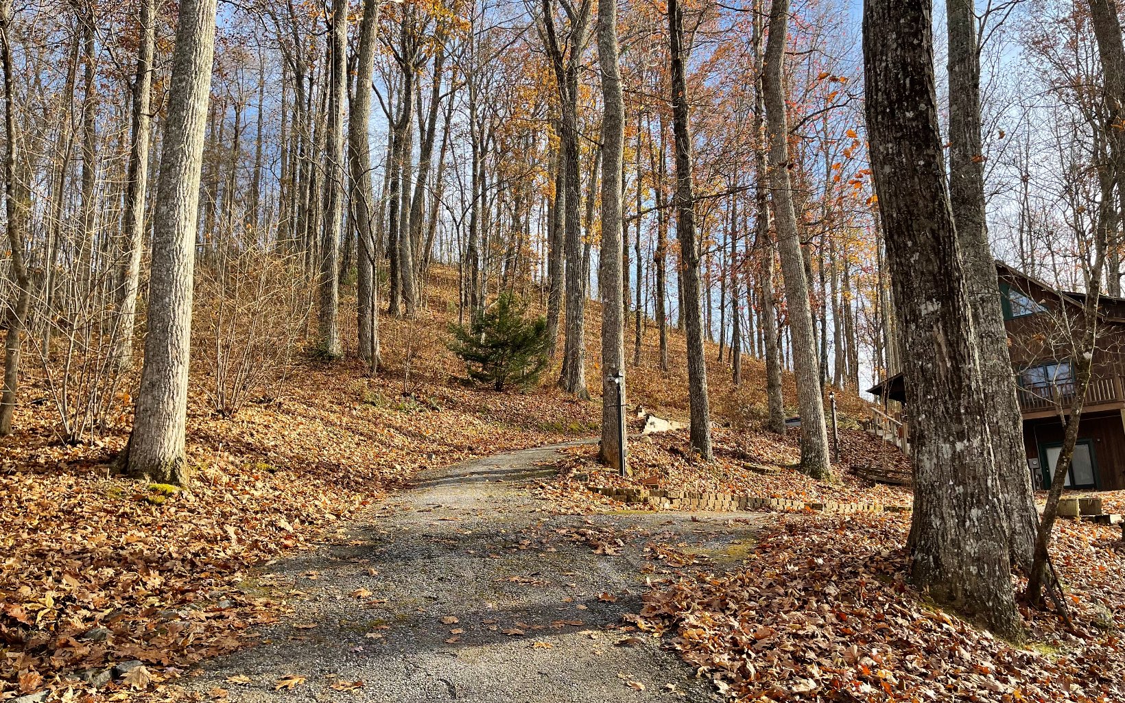 Lot 19 Bear Trail Property Photo 6