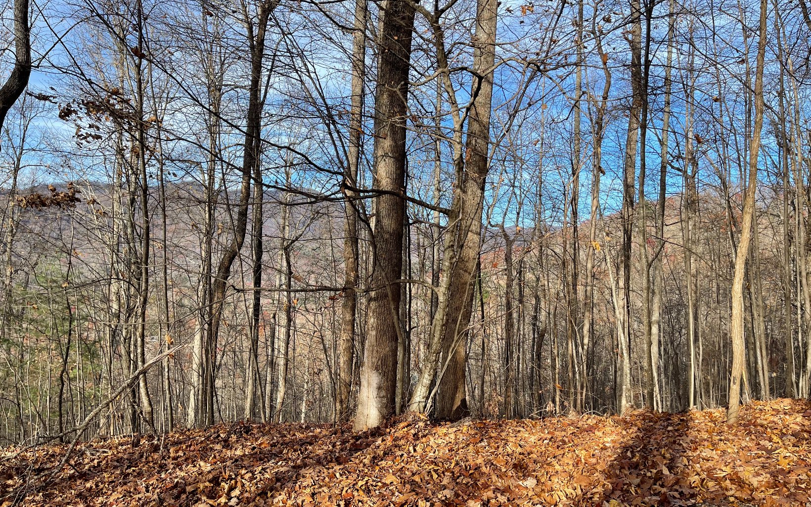 Lot 19 Bear Trail Property Photo 8