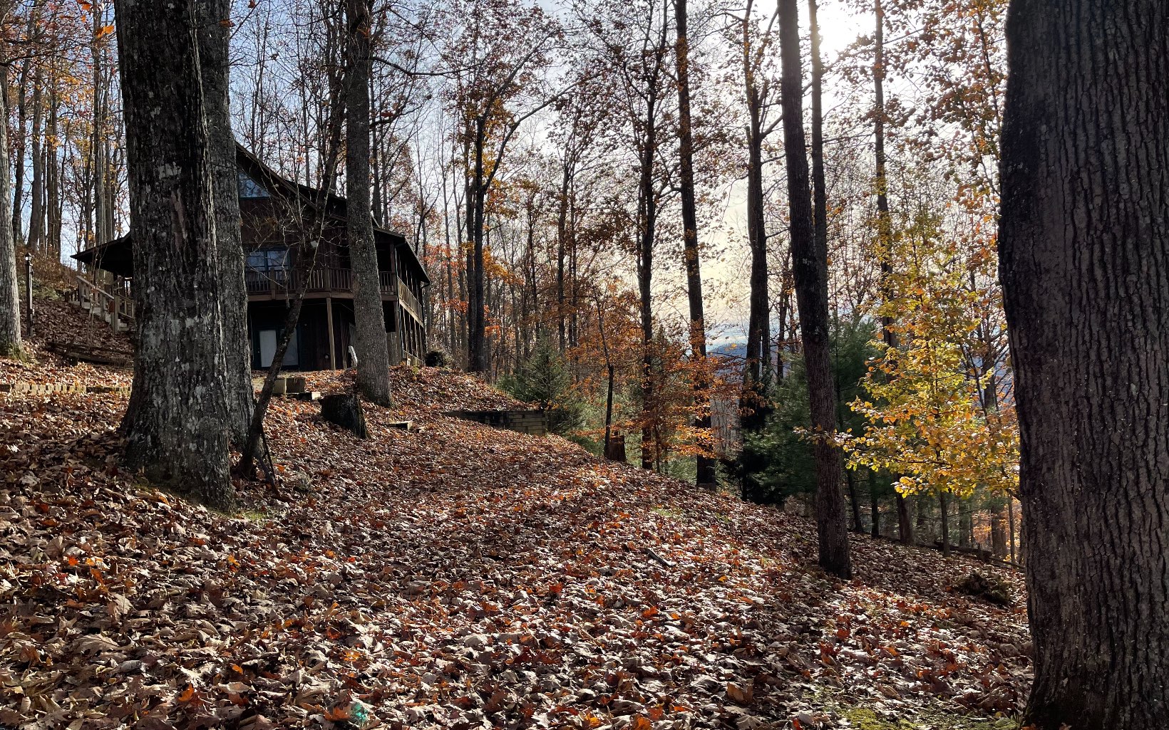 Lot 19 Bear Trail Property Photo 10