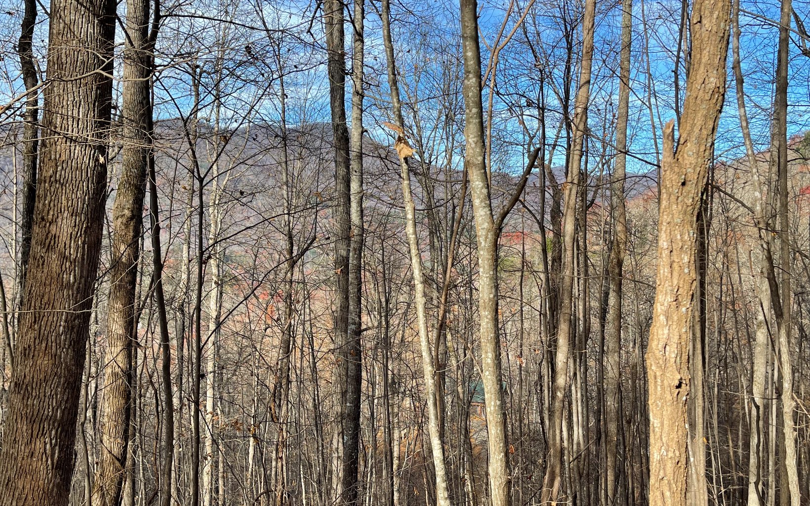Lot 19 Bear Trail Property Photo 12