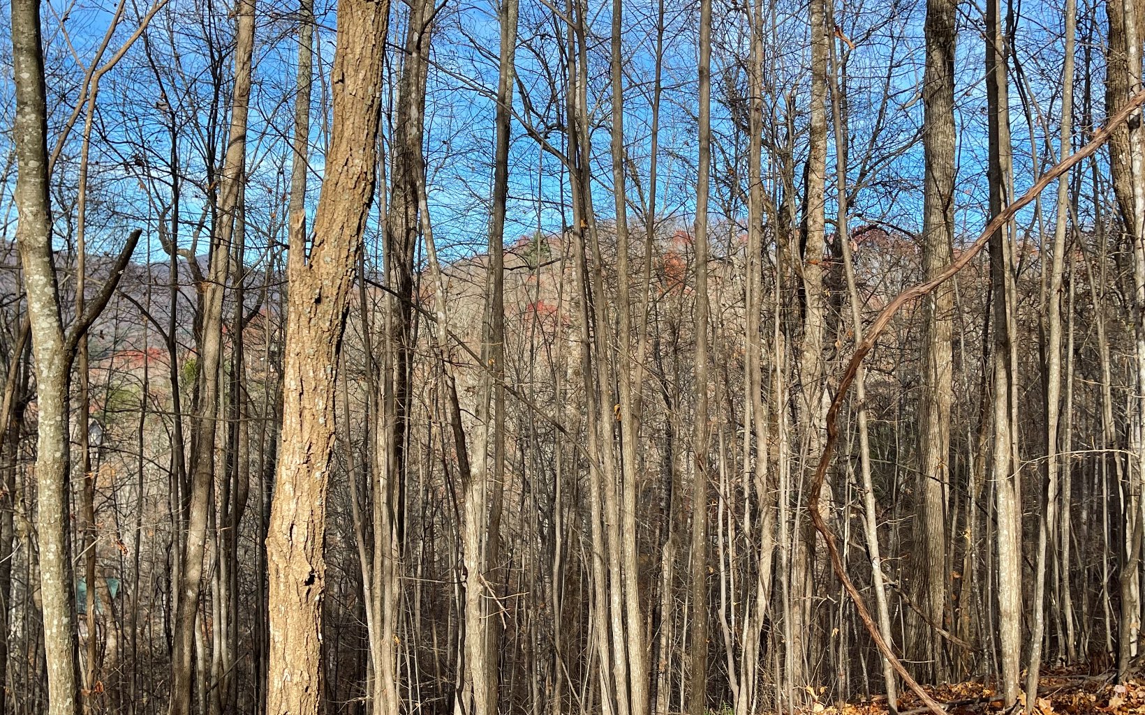 Lot 19 Bear Trail Property Photo 13