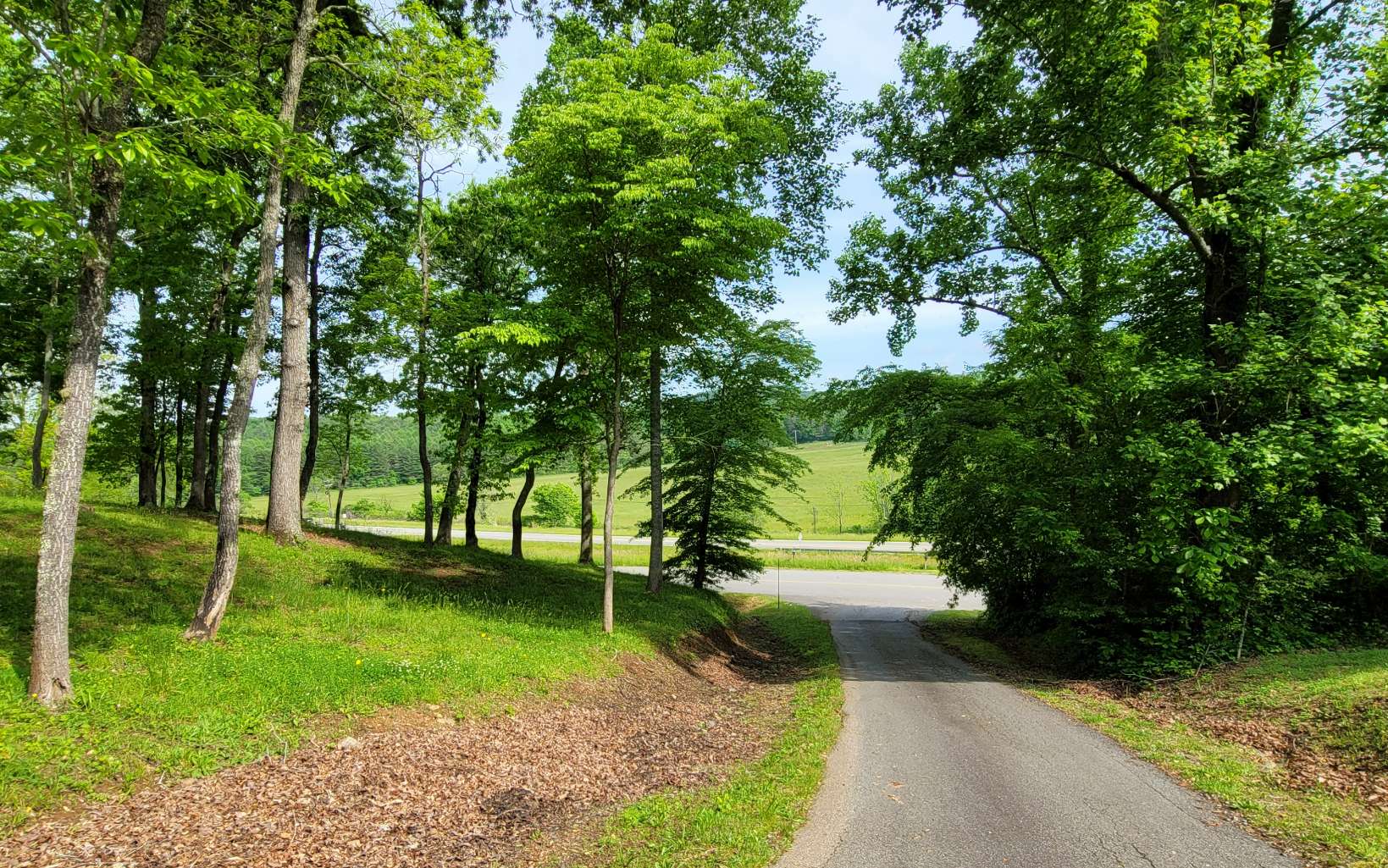 5 Oak Forest Acres Property Photo 18