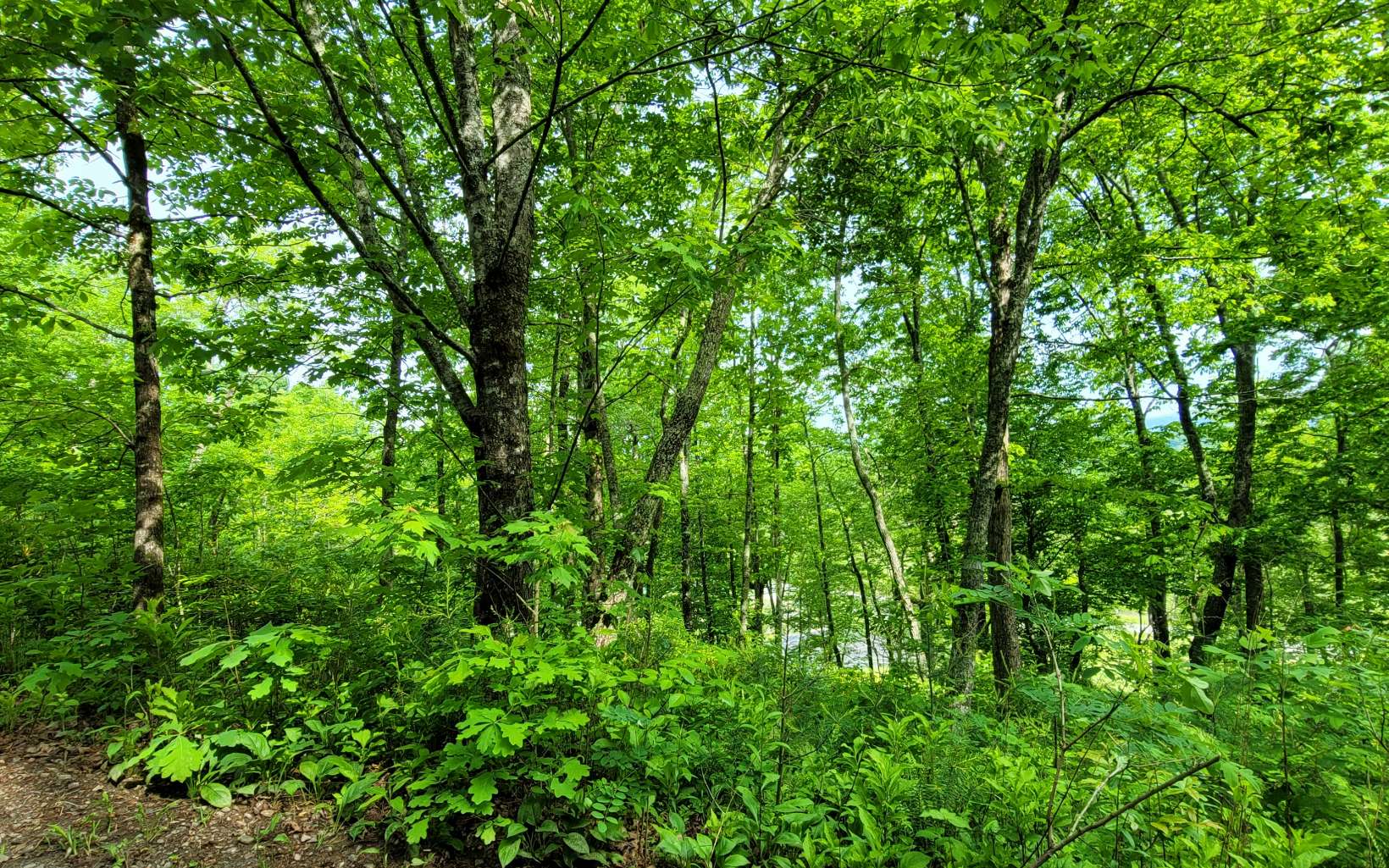 5 Oak Forest Acres Property Photo 20
