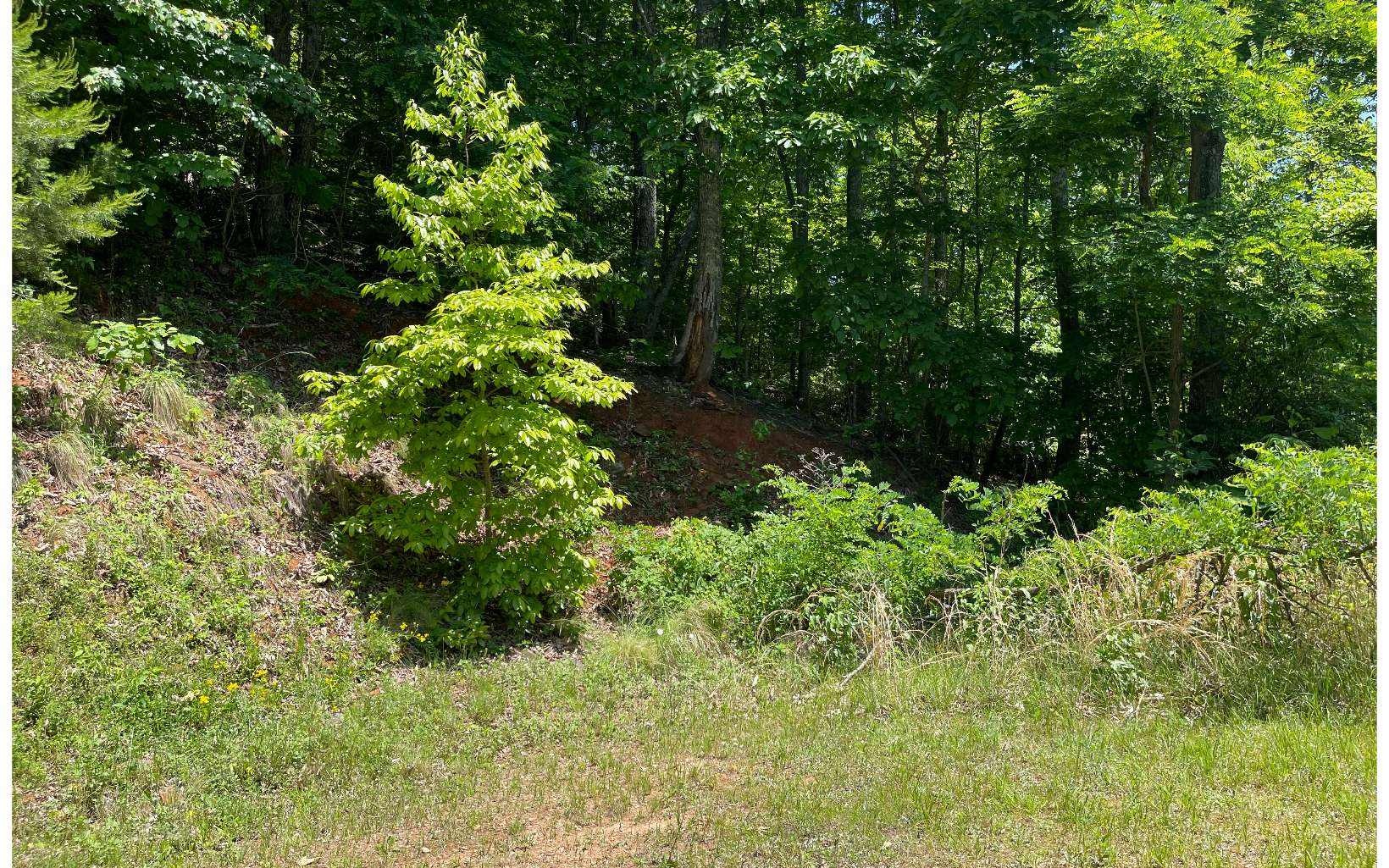 33b Grandview Drive Property Photo 2