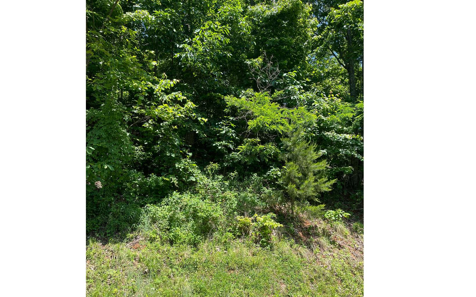 33b Grandview Drive Property Photo 3
