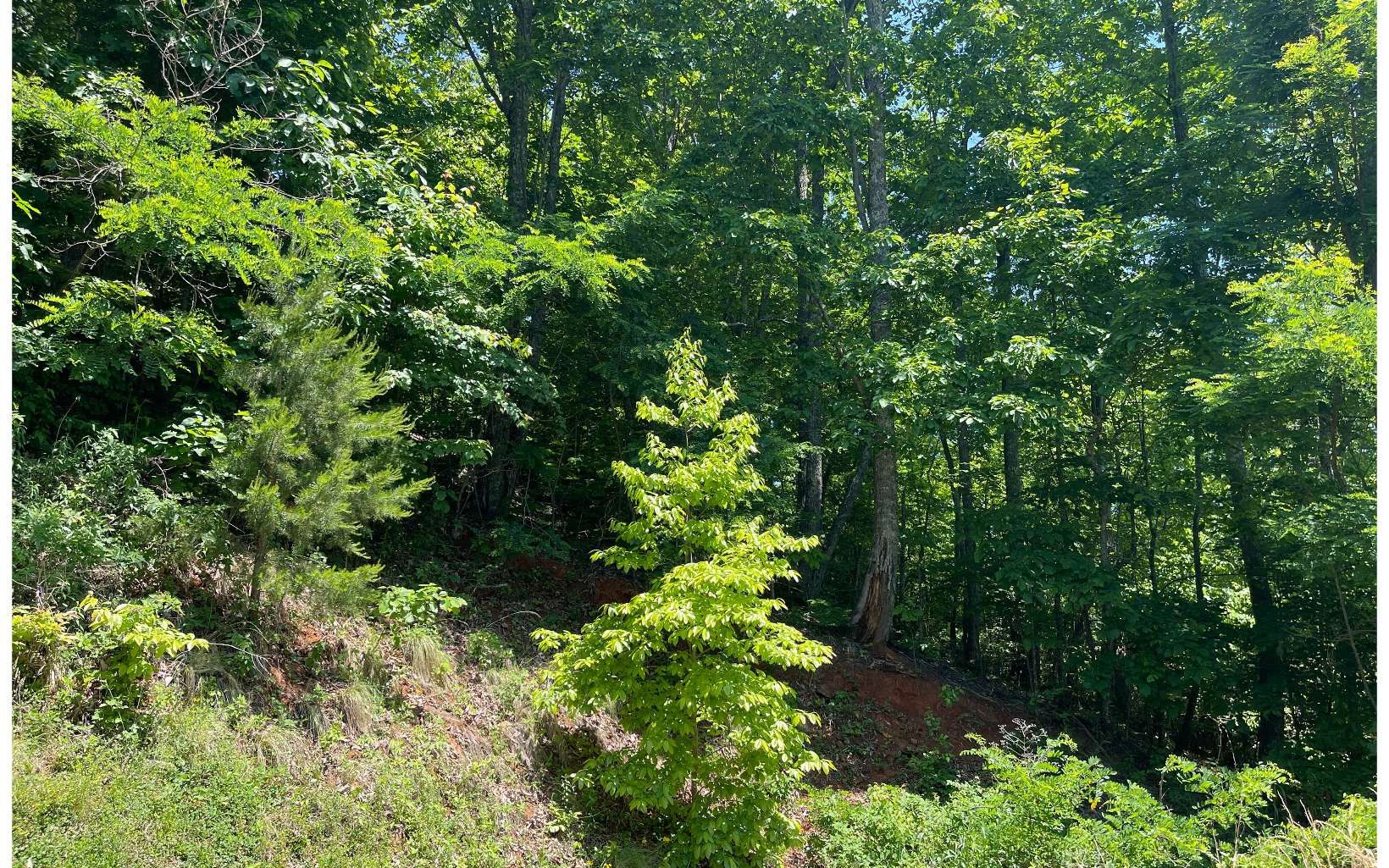 33b Grandview Drive Property Photo 4
