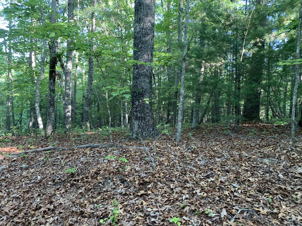 00 Lady Lane Property Photo 7