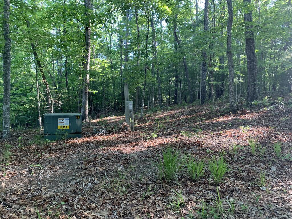 00 Lady Lane Property Photo 12