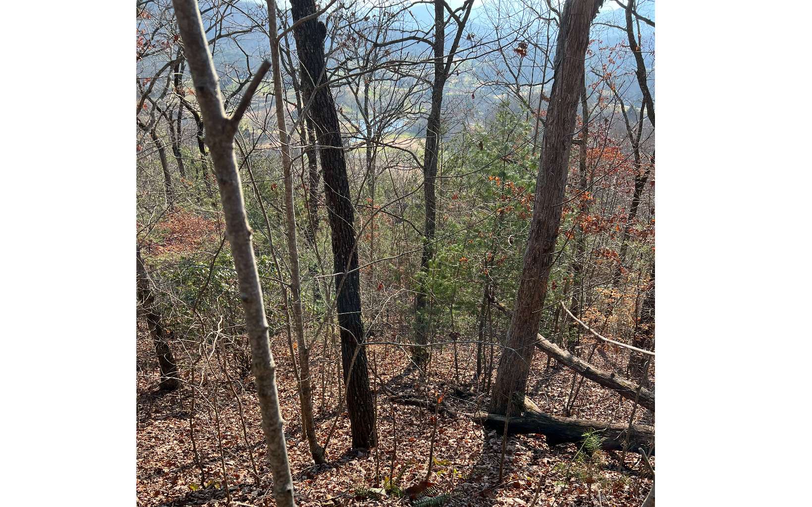 56C Indian Trail Property Photo 1