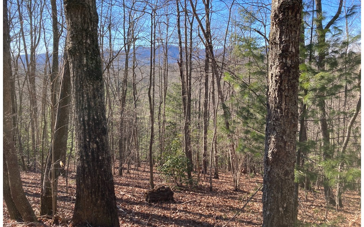 31 High Ridge Road Property Photo 1