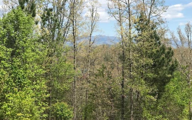 Lt 29 Brasstown View Road Property Photo 1