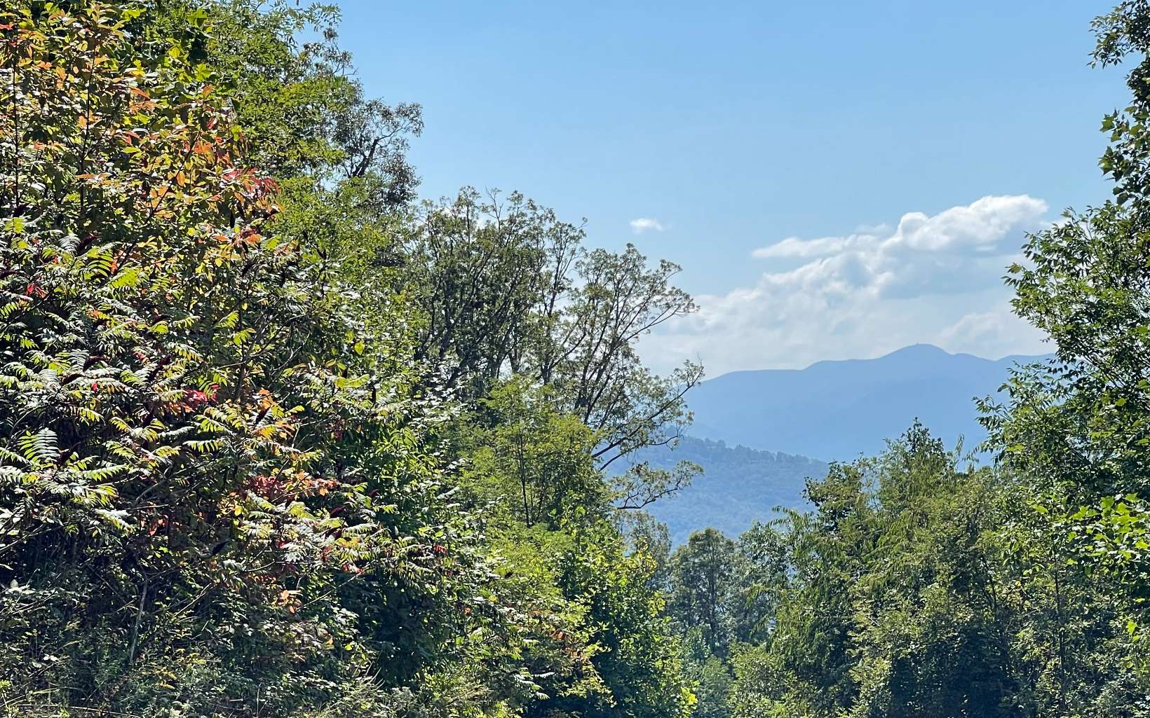 Lot 14 Mountain Harbour Drive Property Photo 4