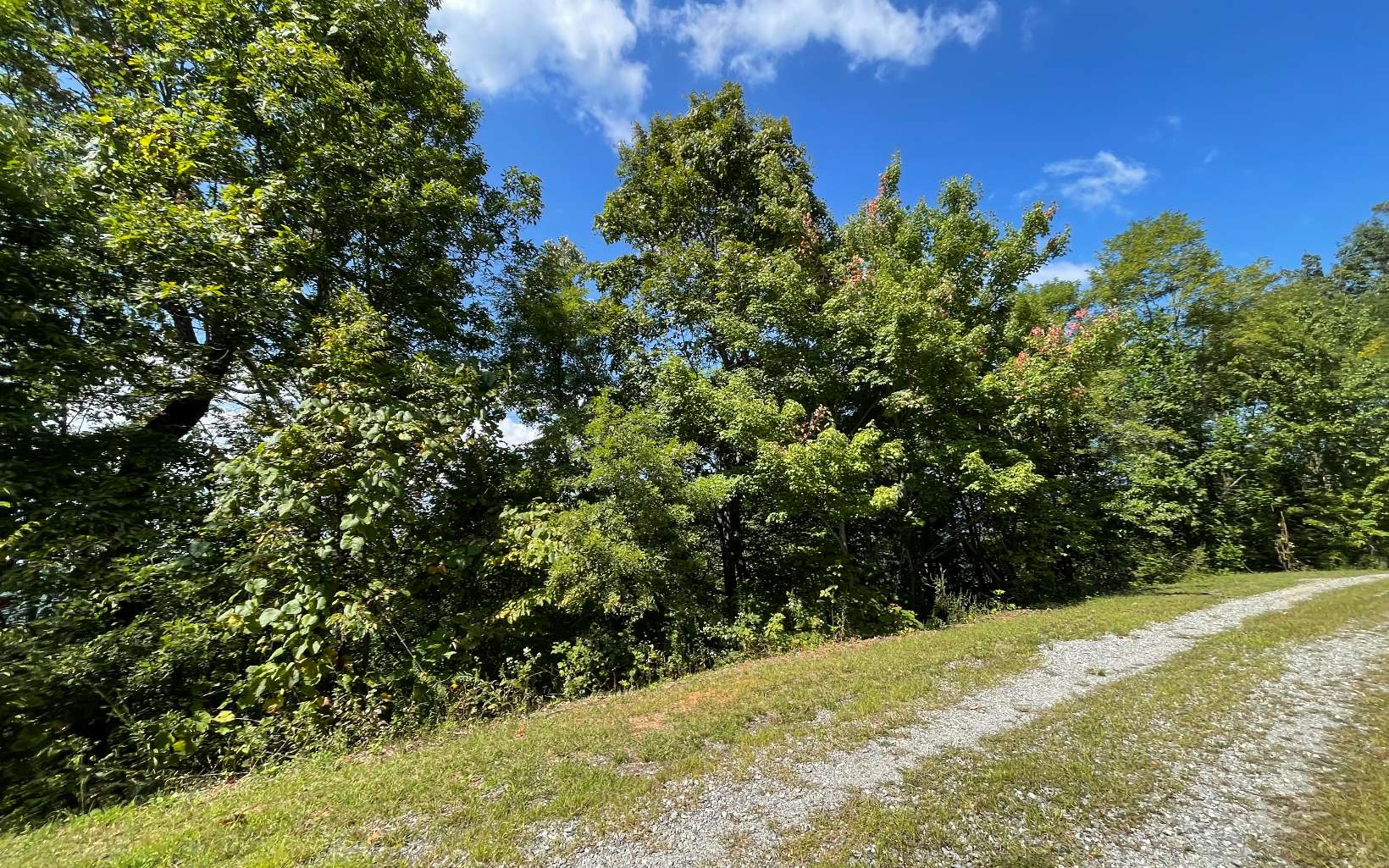 Lot 14 Mountain Harbour Drive Property Photo 6