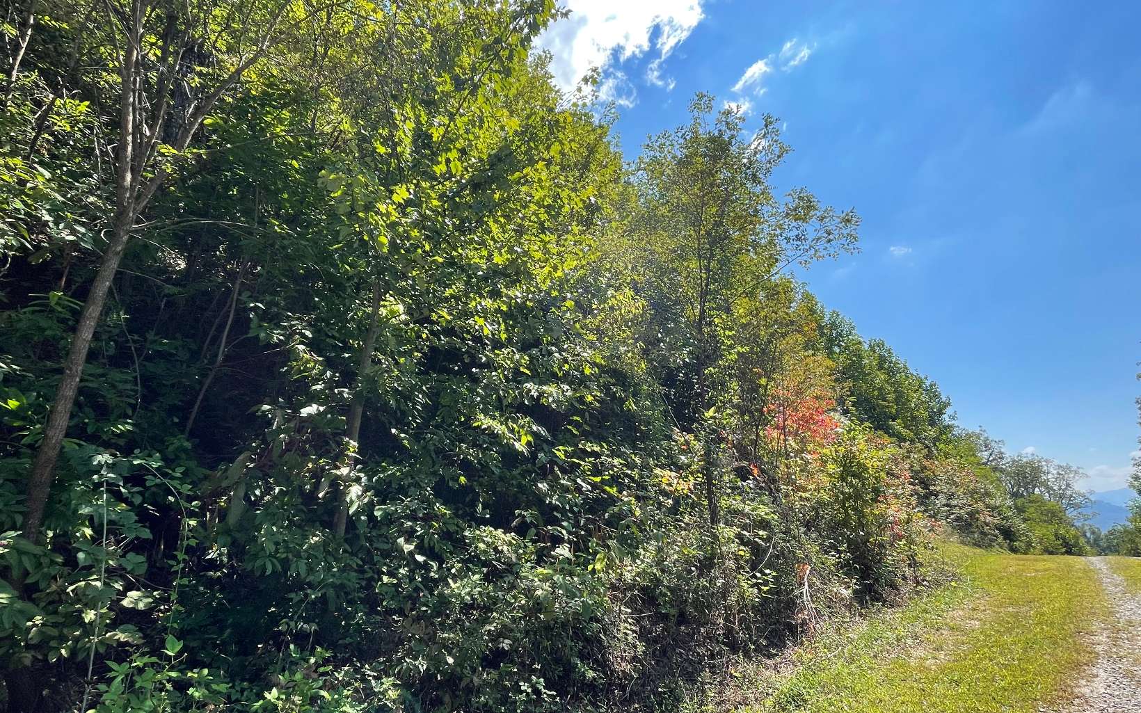 Lot 14 Mountain Harbour Drive Property Photo 7