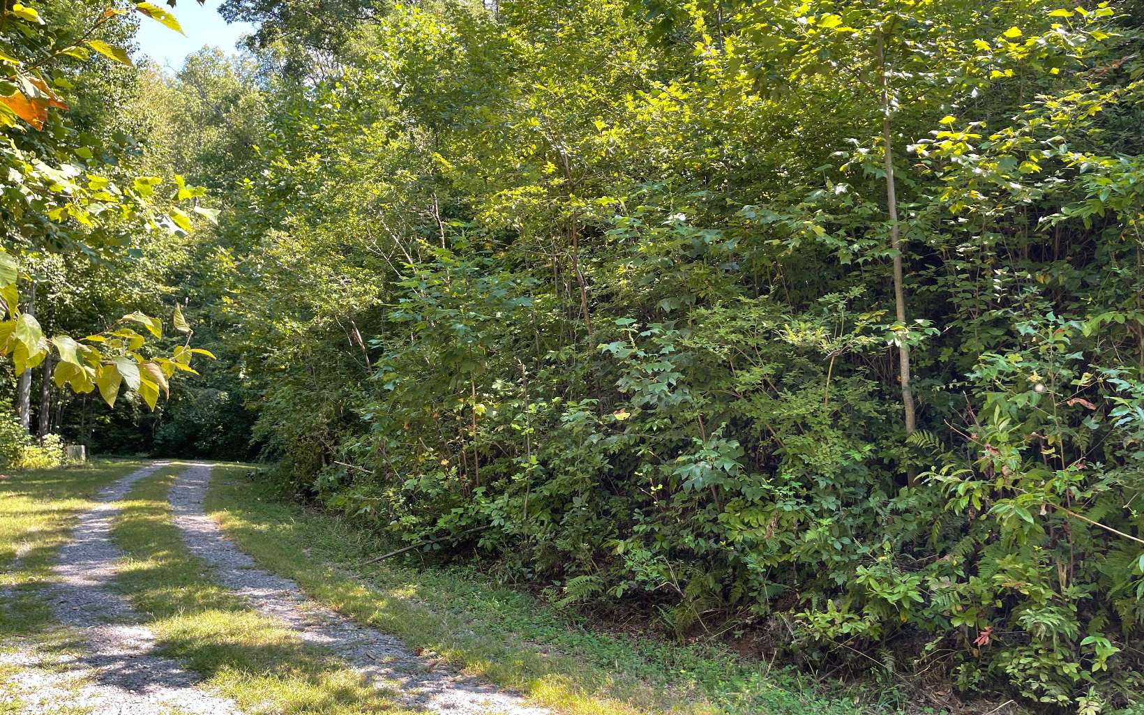 Lot 14 Mountain Harbour Drive Property Photo 14