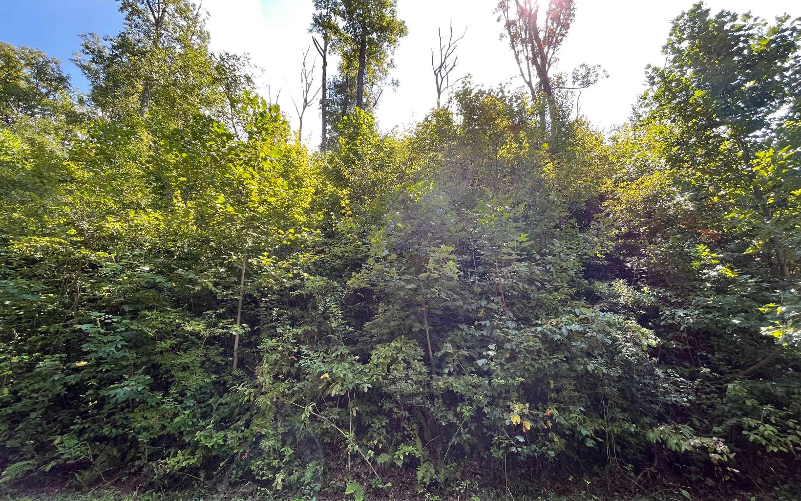 Lot 14 Mountain Harbour Drive Property Photo 28
