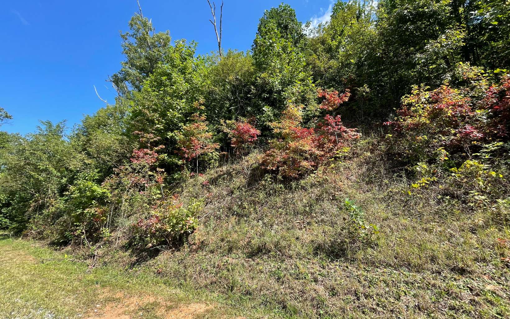 Lot 14 Mountain Harbour Drive Property Photo 29