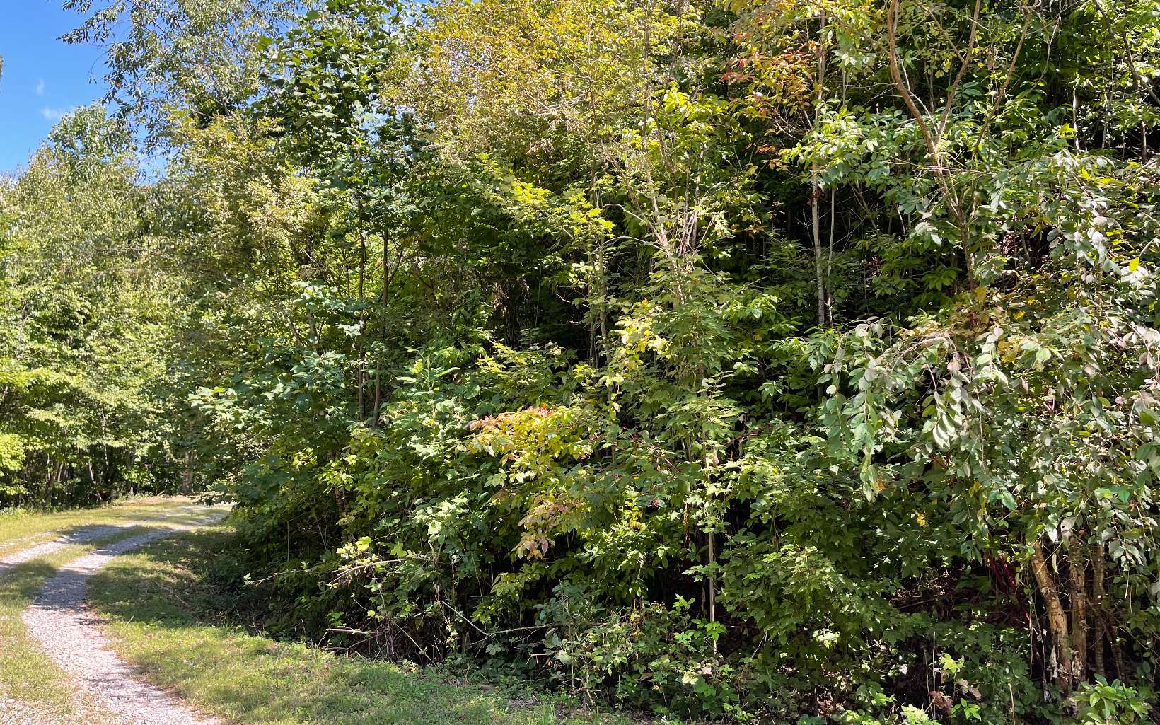 Lot 14 Mountain Harbour Drive Property Photo 33