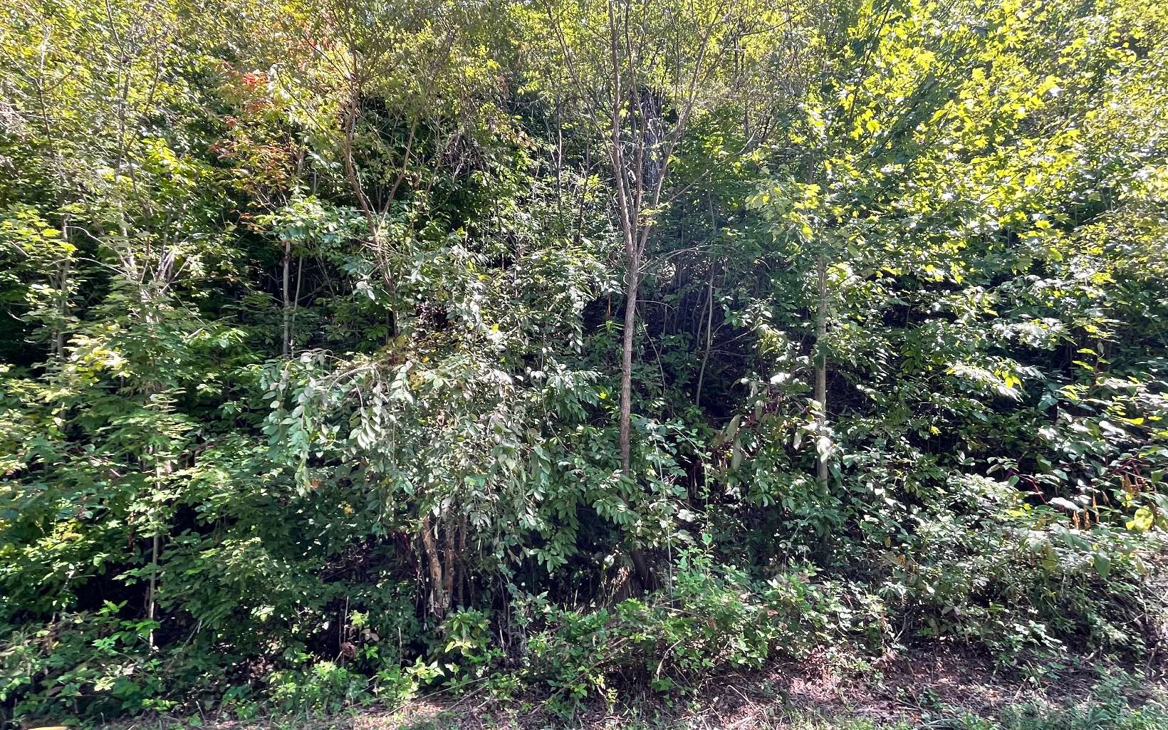 Lot 14 Mountain Harbour Drive Property Photo 35