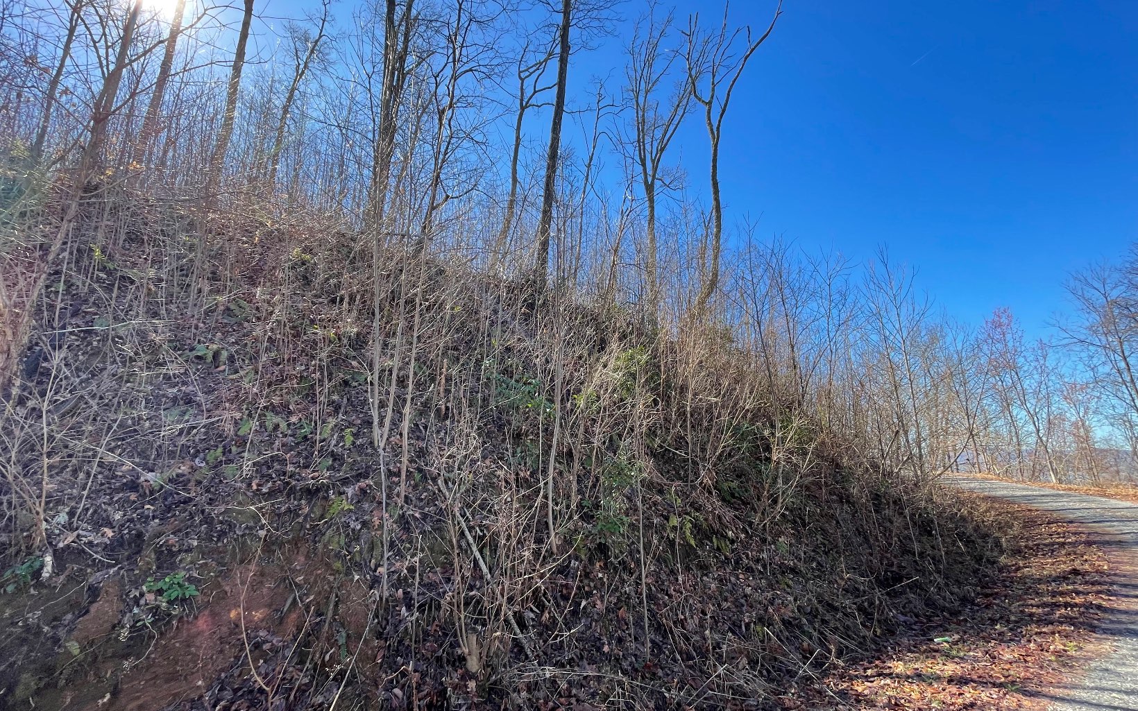 Lot 14 Mountain Harbour Drive Property Photo 36