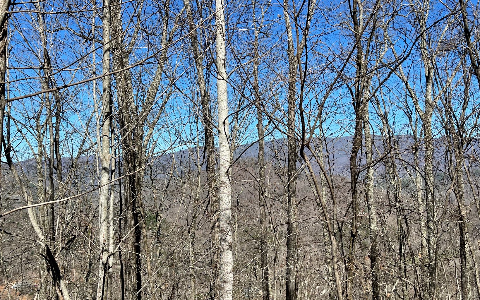 Lot 14 Mountain Harbour Drive Property Photo 39