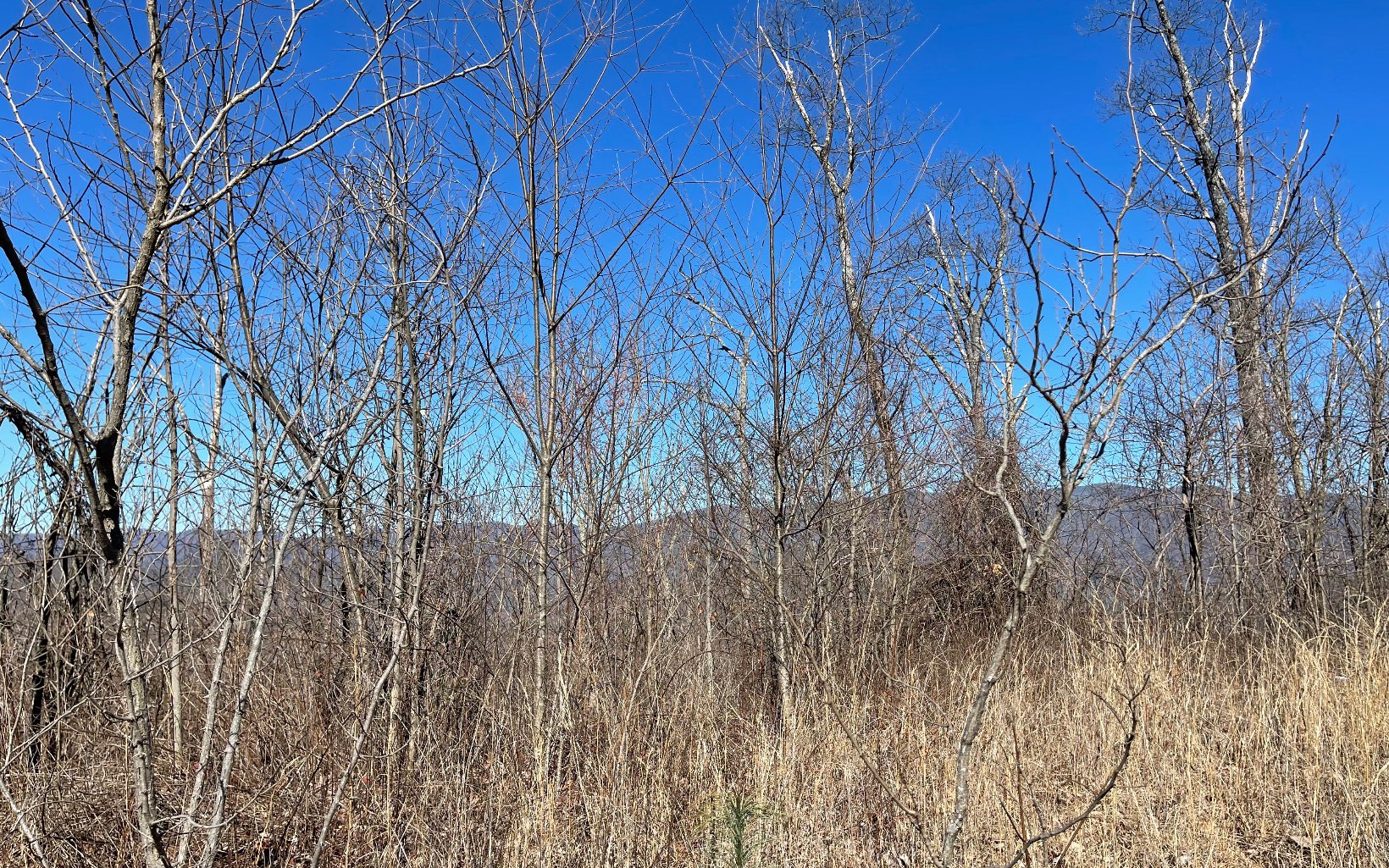 Lot 14 Mountain Harbour Drive Property Photo 45