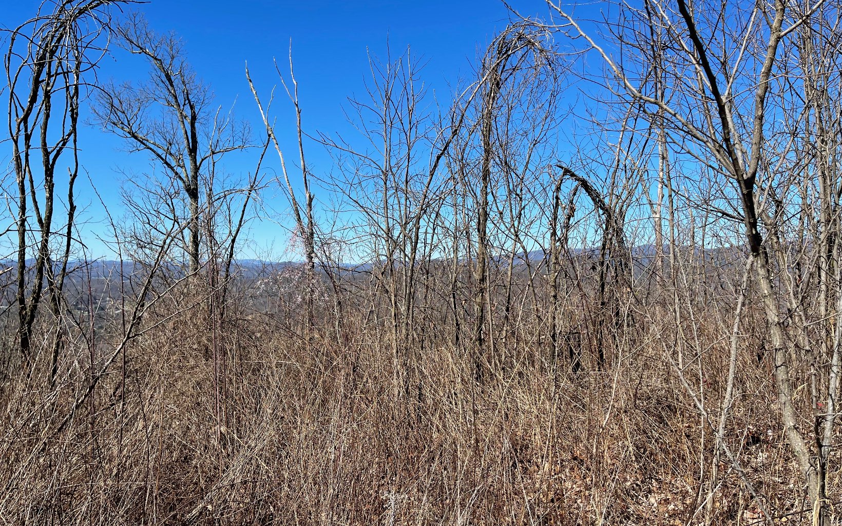 Lot 14 Mountain Harbour Drive Property Photo 46