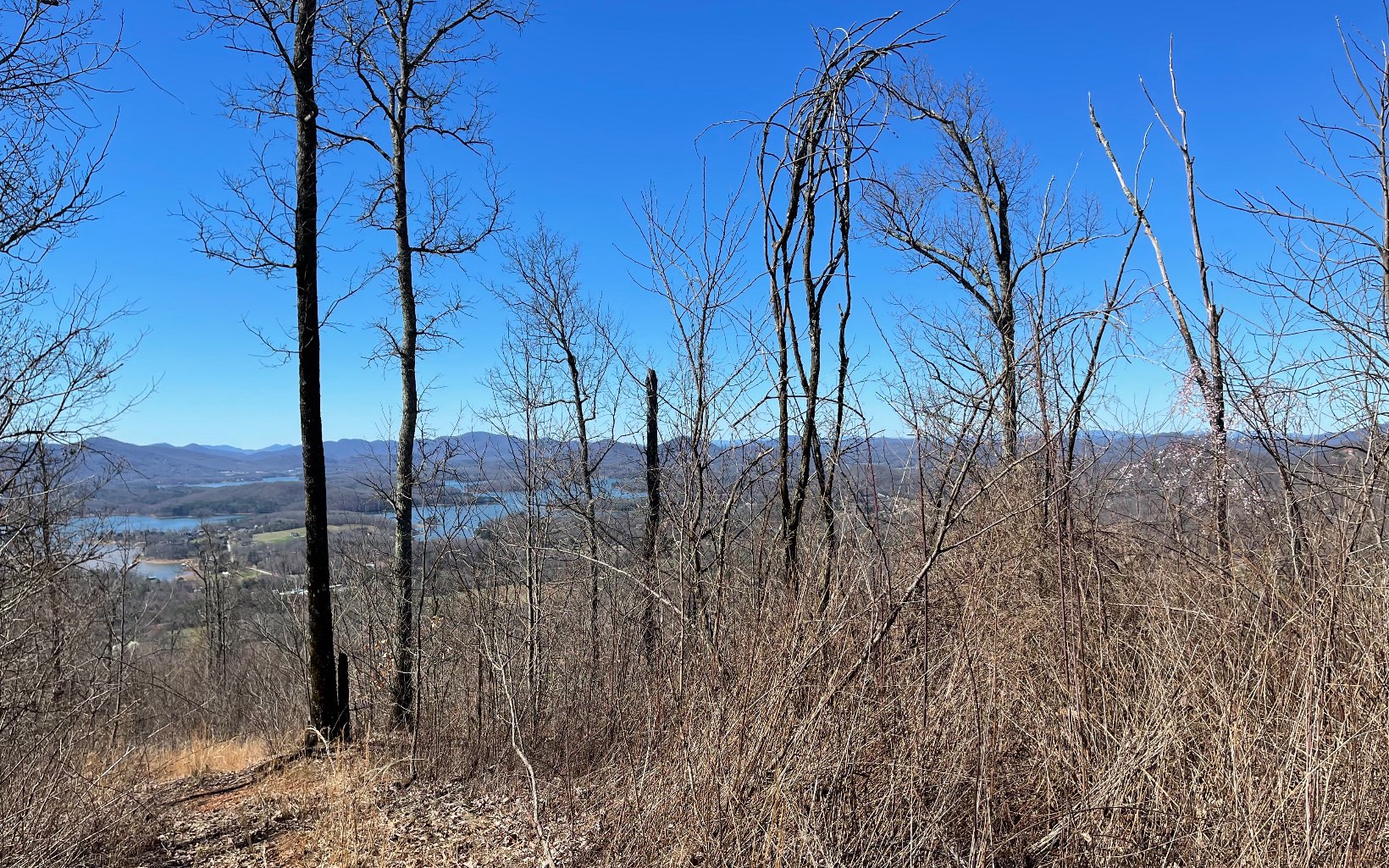 Lot 14 Mountain Harbour Drive Property Photo 47