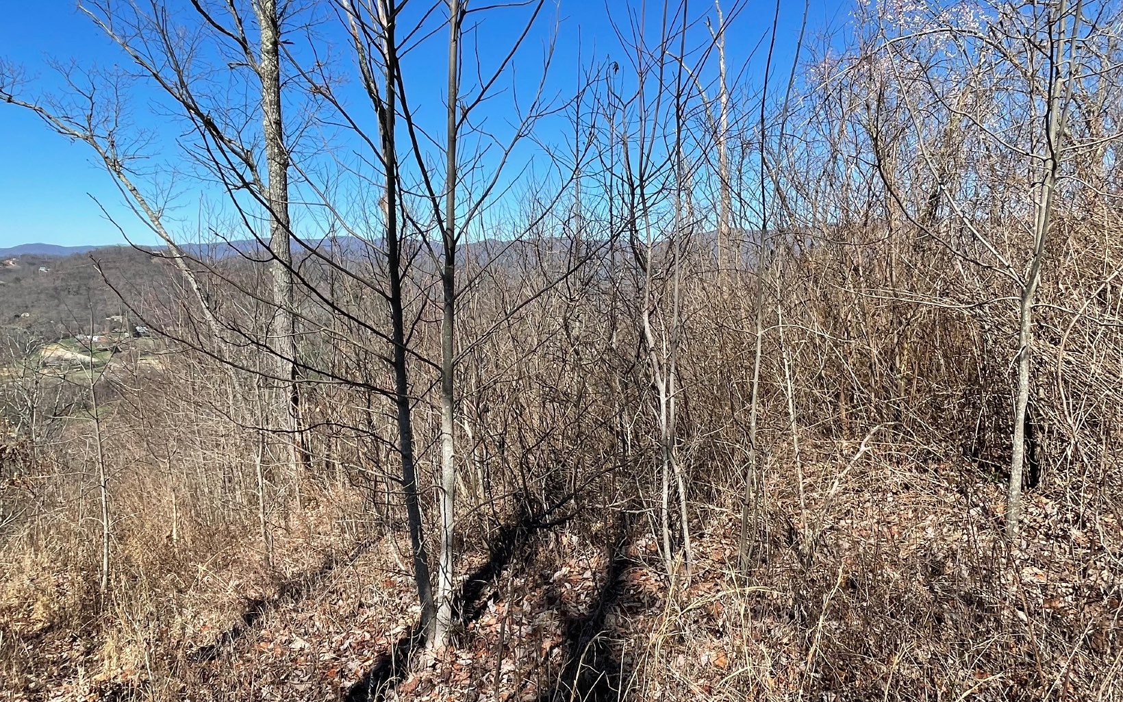 Lot 14 Mountain Harbour Drive Property Photo 51