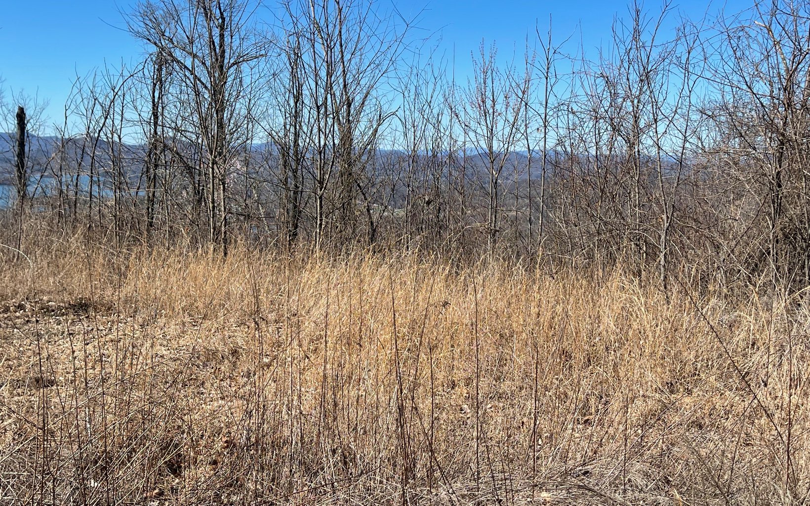 Lot 14 Mountain Harbour Drive Property Photo 59