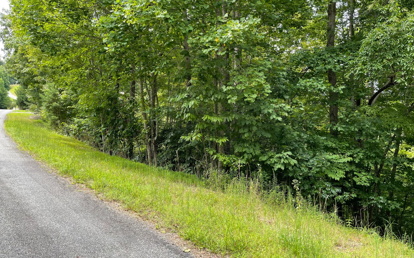 Lot 3 Morgan Creek Property Photo 3