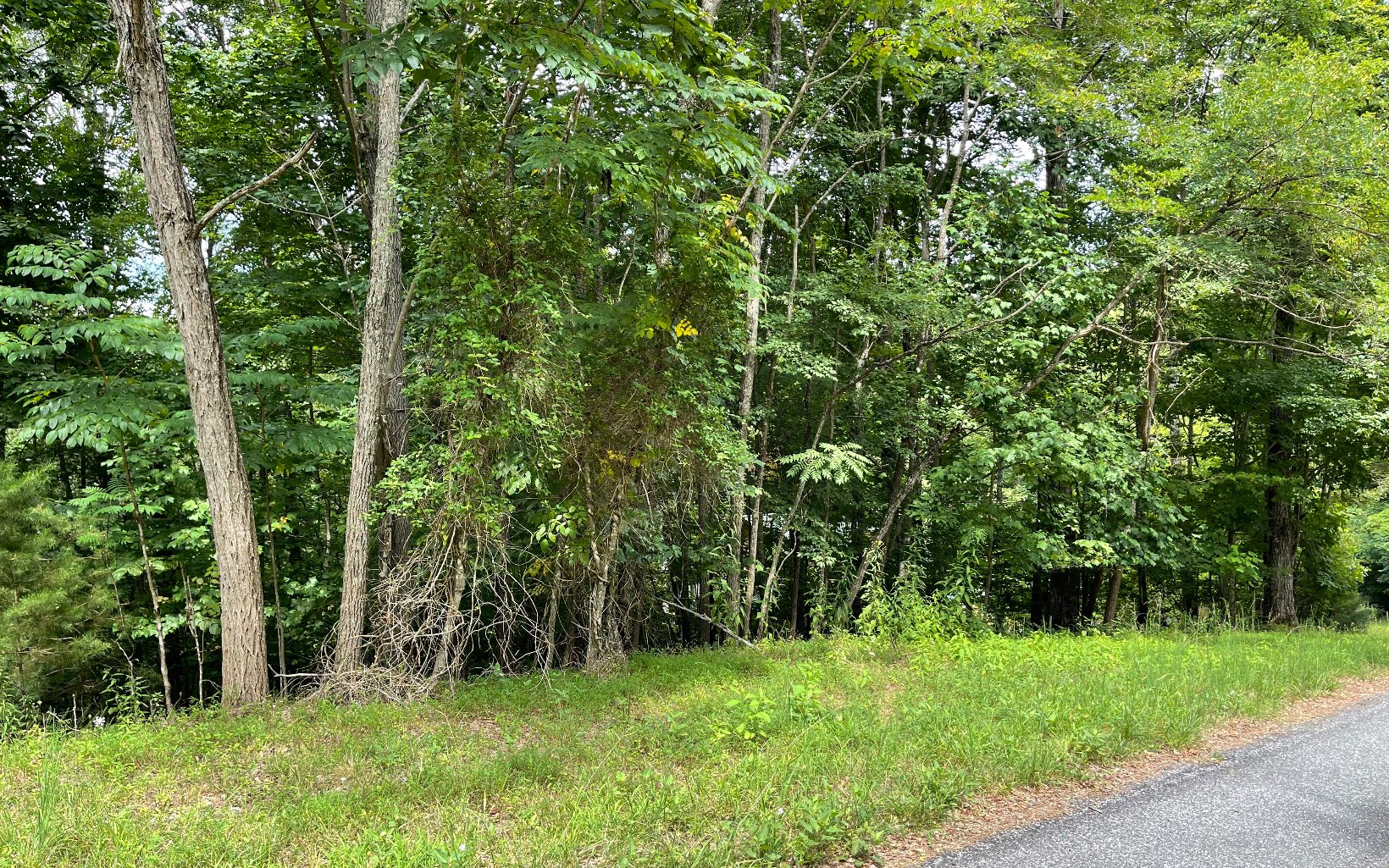 Lot 3 Morgan Creek Property Photo 5