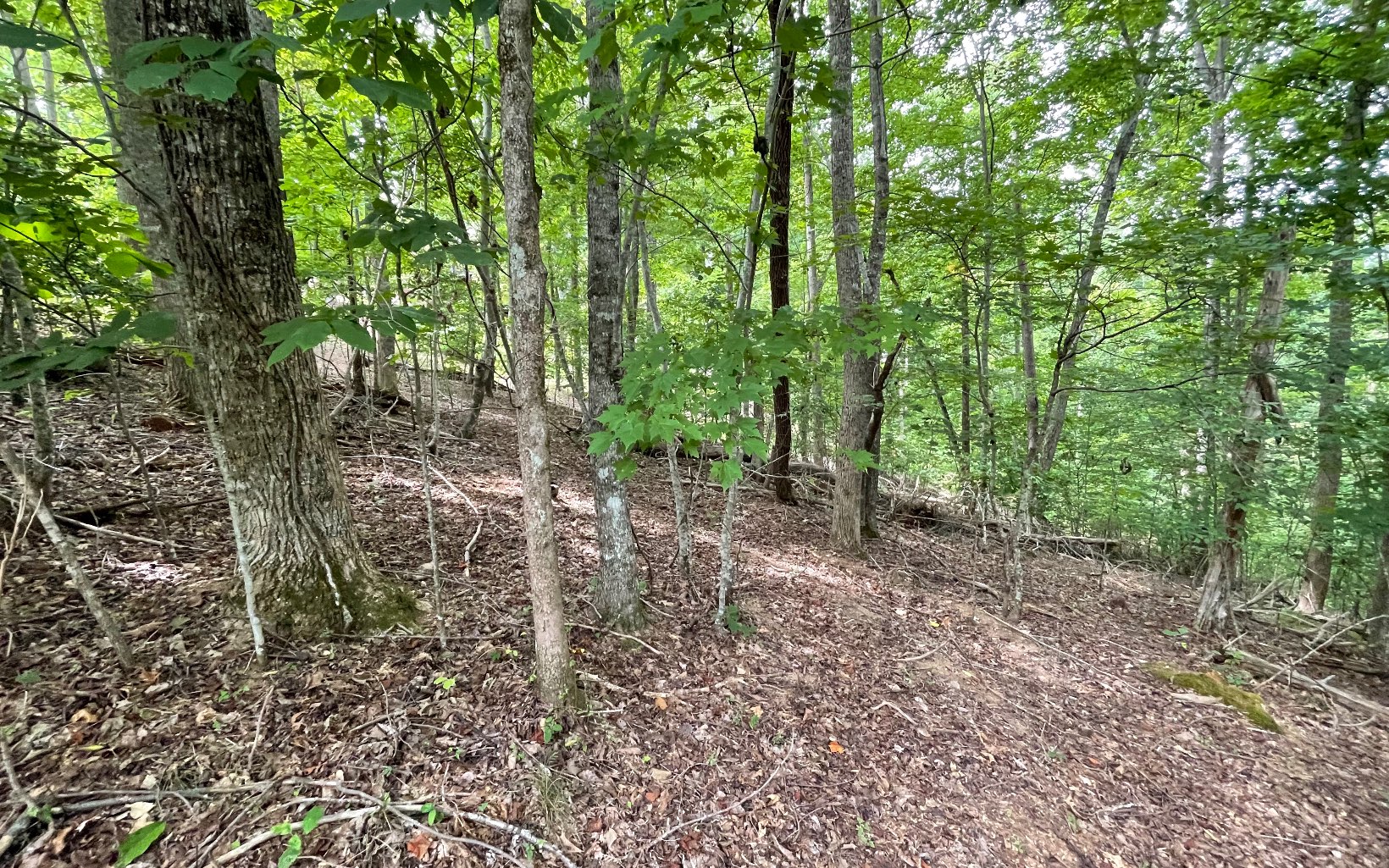 Lot 3 Morgan Creek Property Photo 10