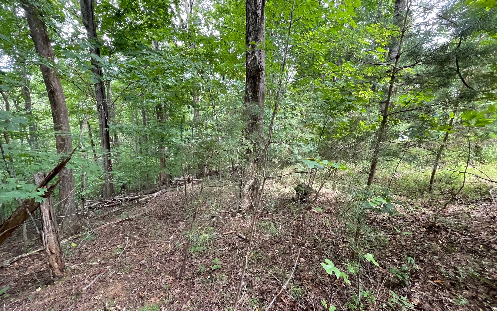 Lot 3 Morgan Creek Property Photo 12