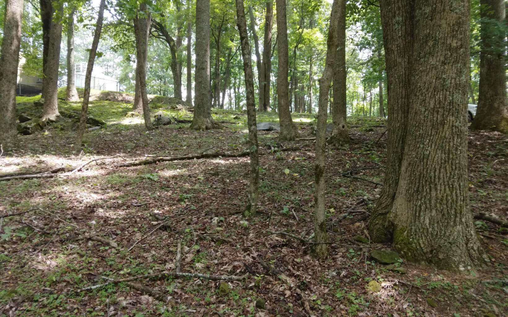 M213 Walnut Ridge Property Photo 1