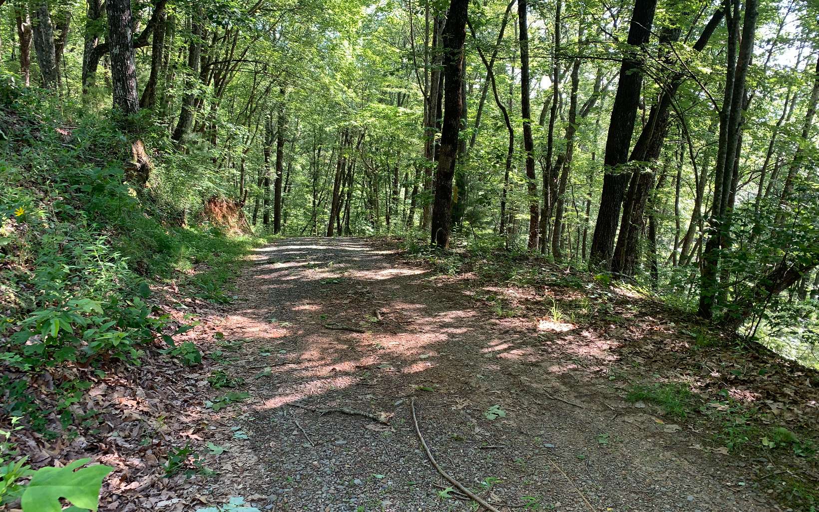 LT107 Steep Cove Road