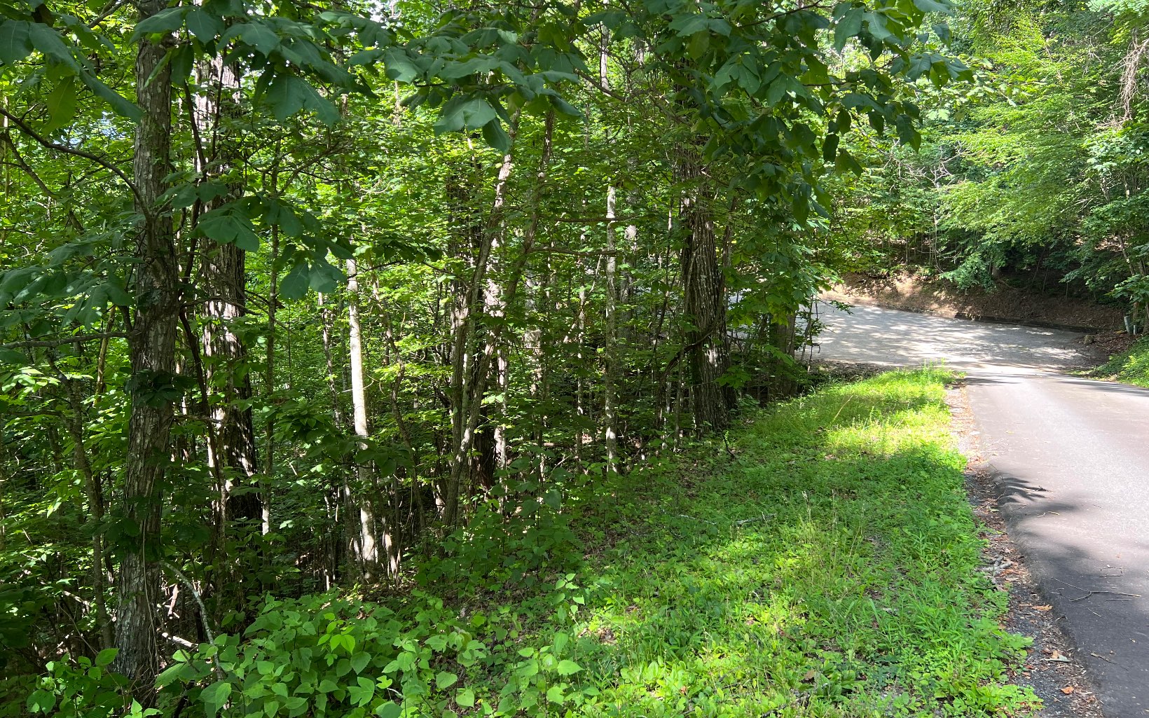 Lot 73 Eagles View Property Photo 10