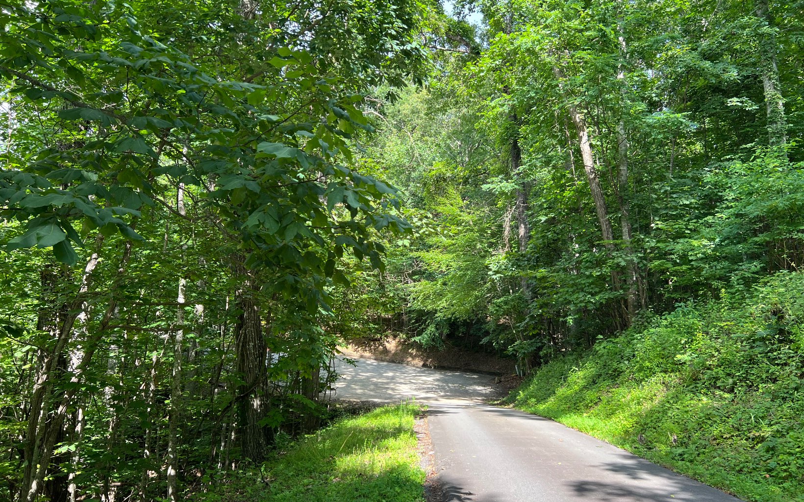 Lot 73 Eagles View Property Photo 12