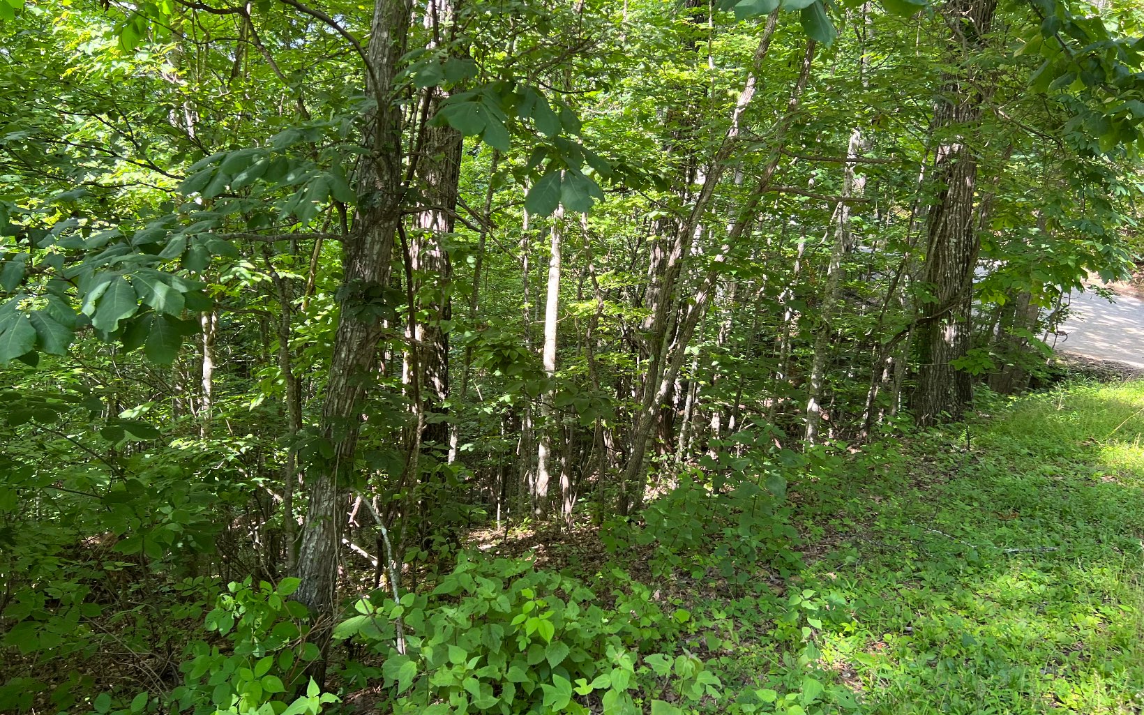 Lot 73 Eagles View Property Photo 19
